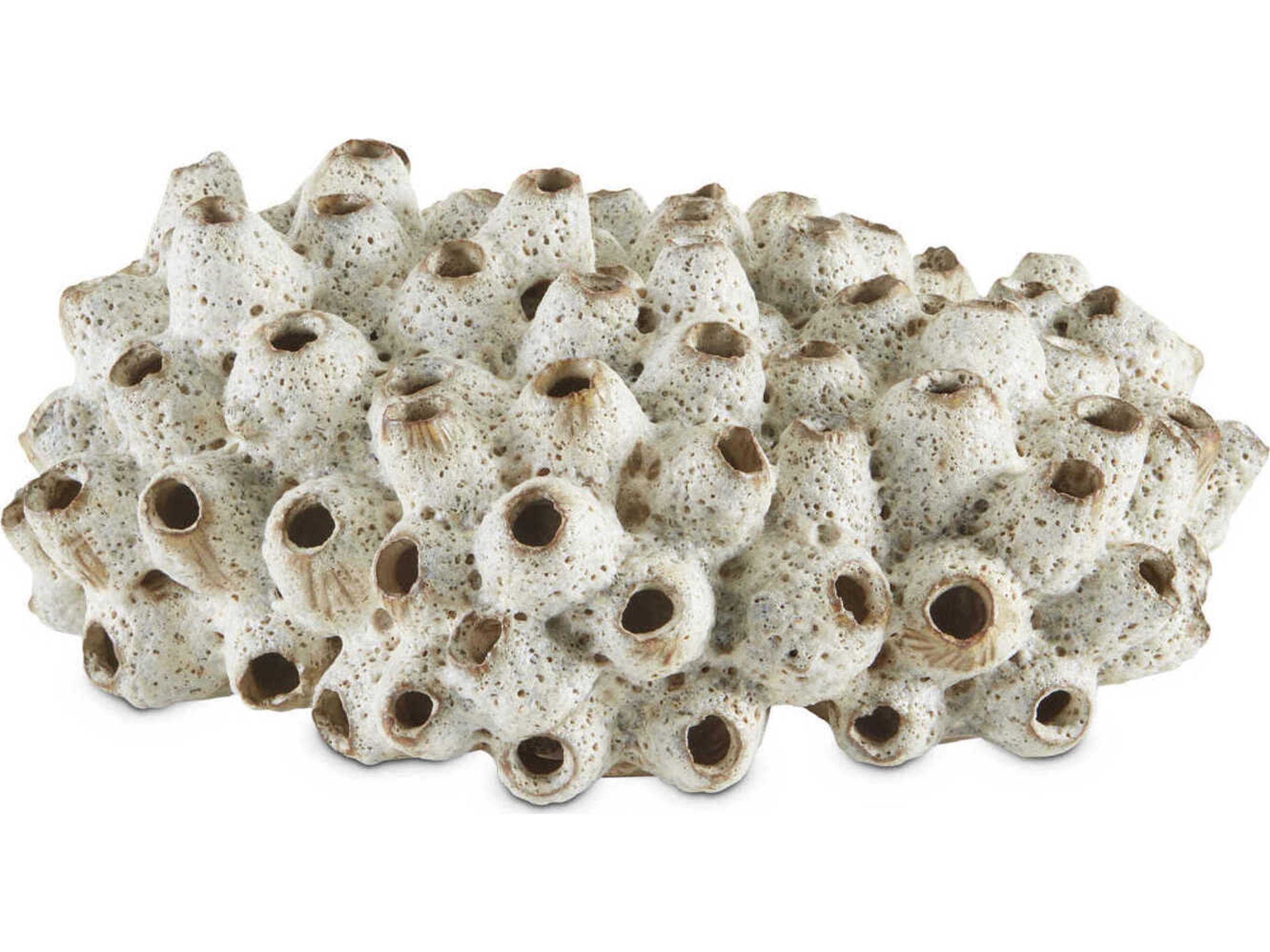 Currey & Company Antique White Sulawasi Shells Sculpture