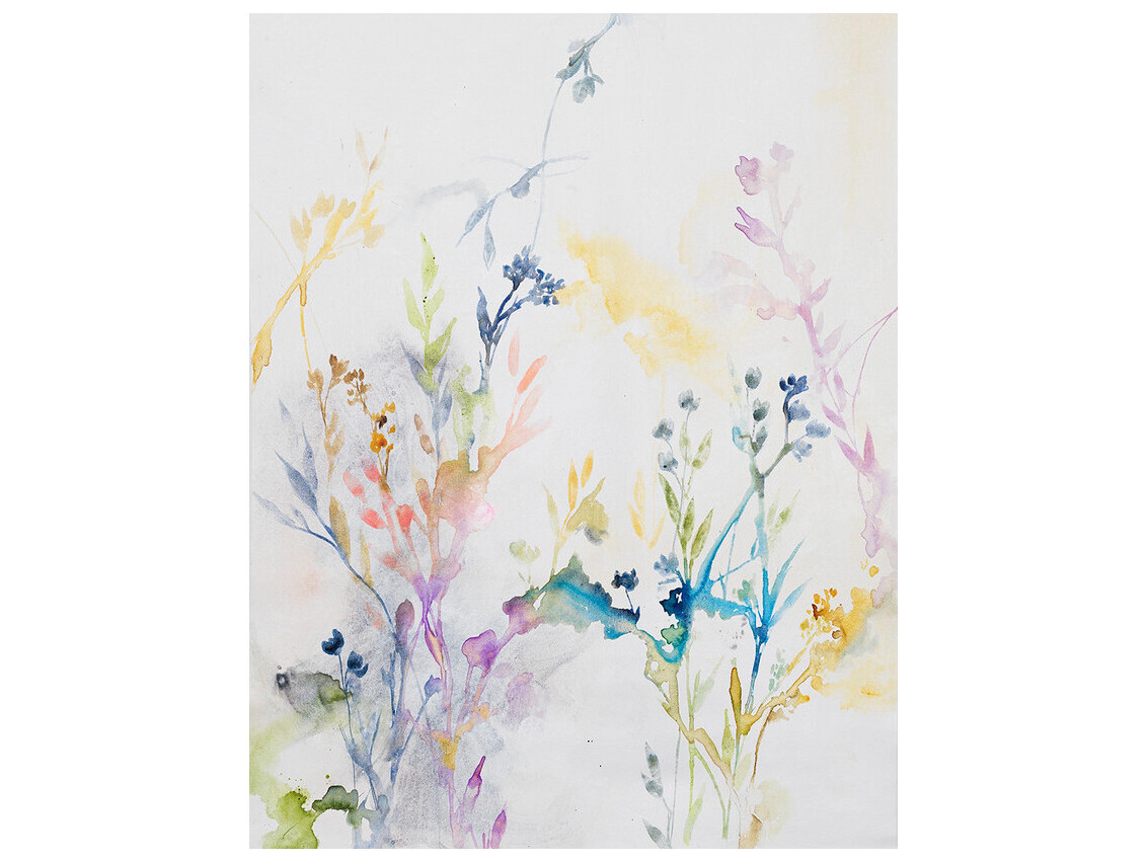 Daleno Dopple of Daisy III Wall Art