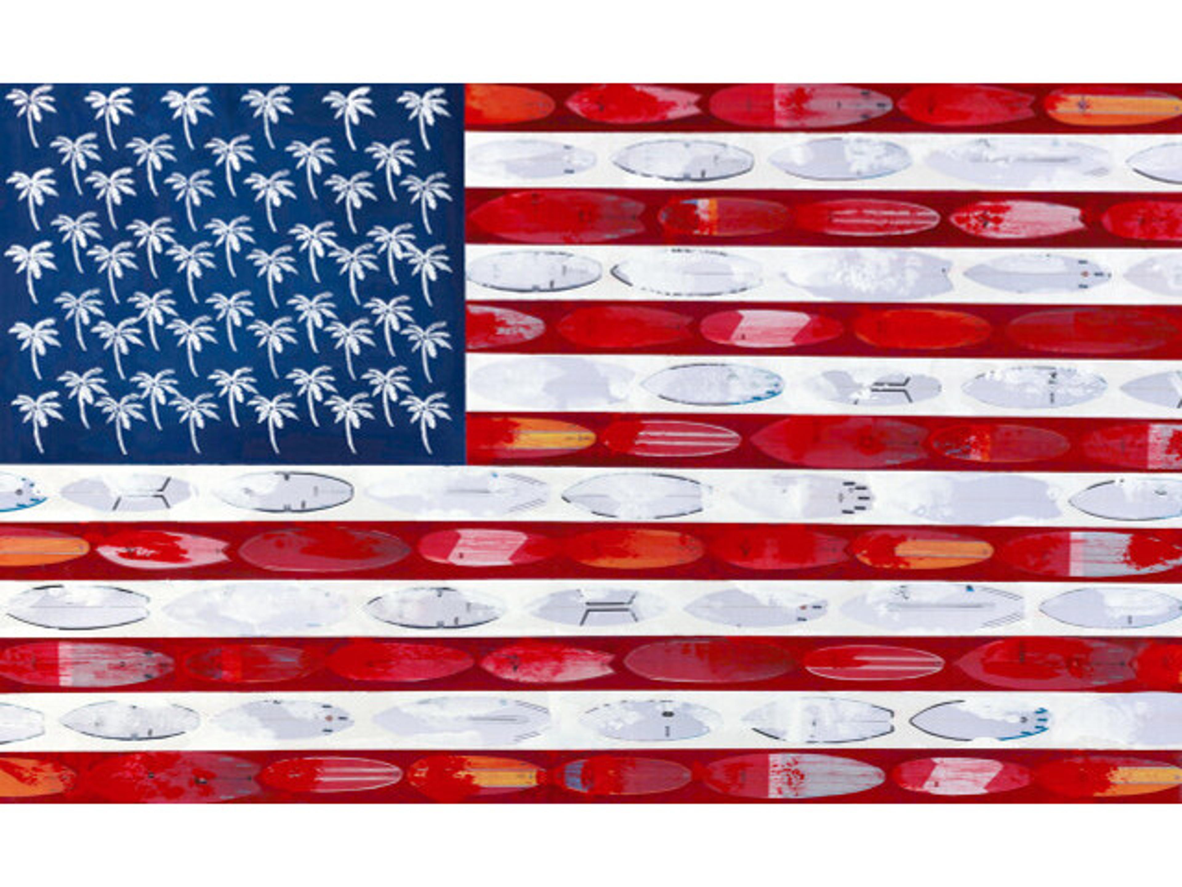 Daleno American Surfer Wall Art