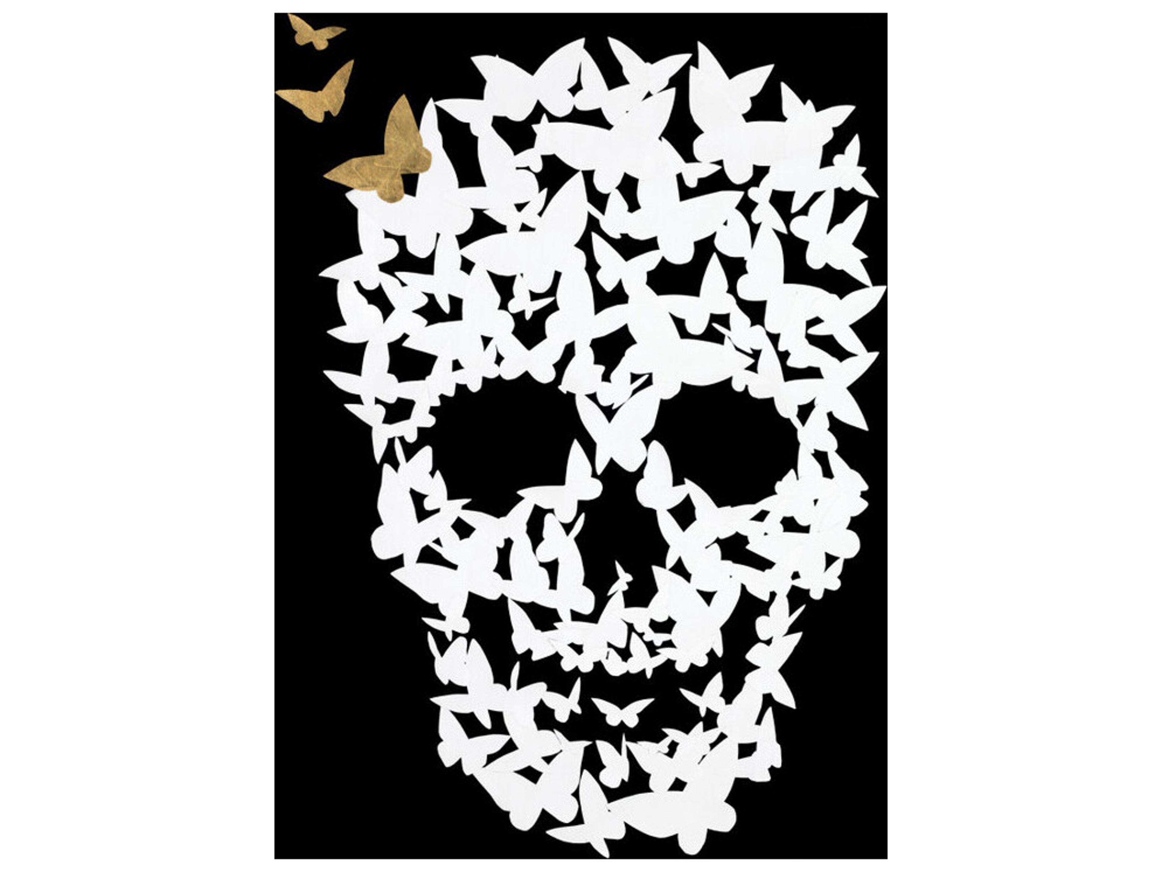 Daleno Winged Messengers I Wall Art