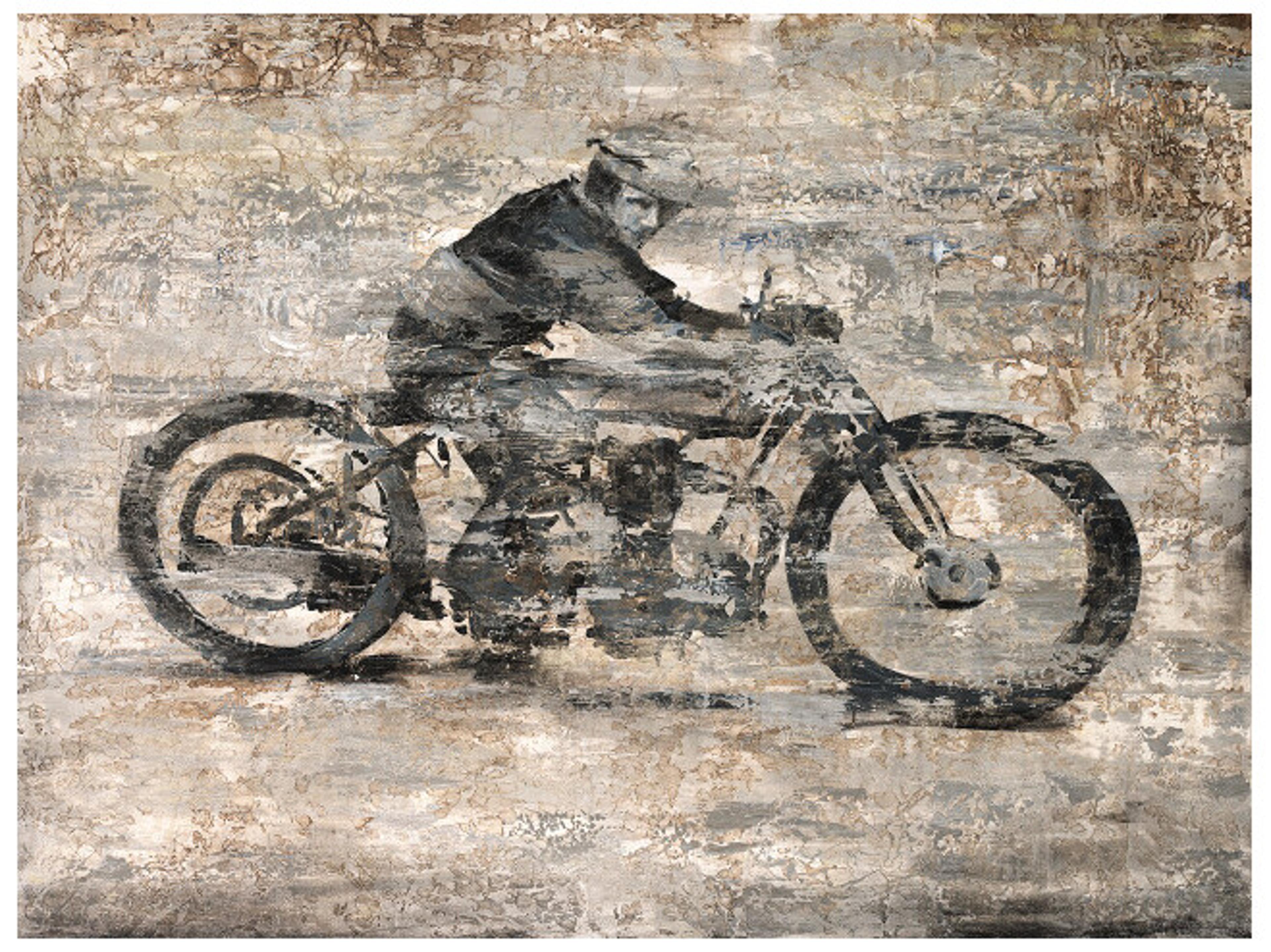 Daleno Matrix Rider Wall Art