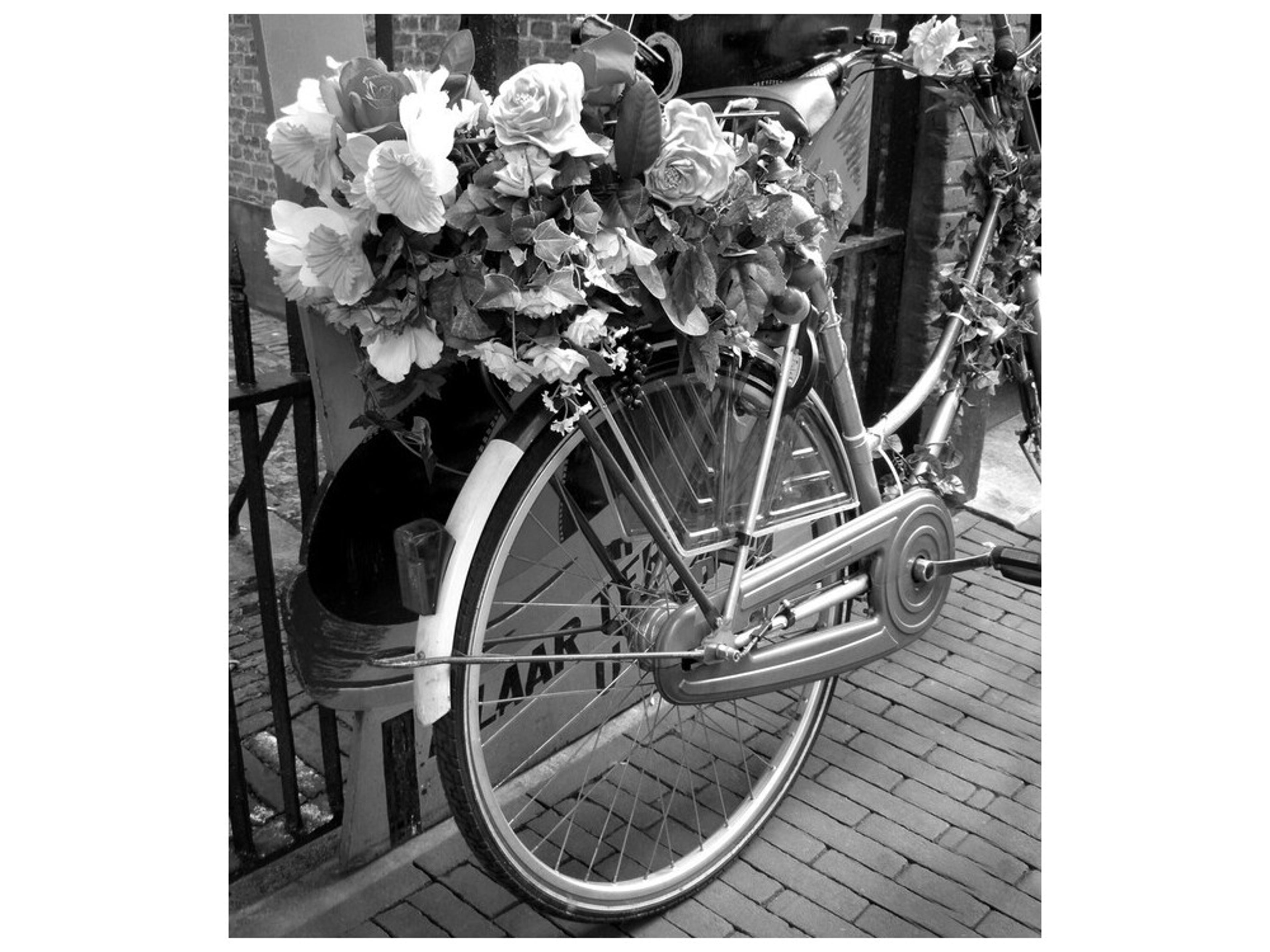 Daleno Delivering Love Wall Art