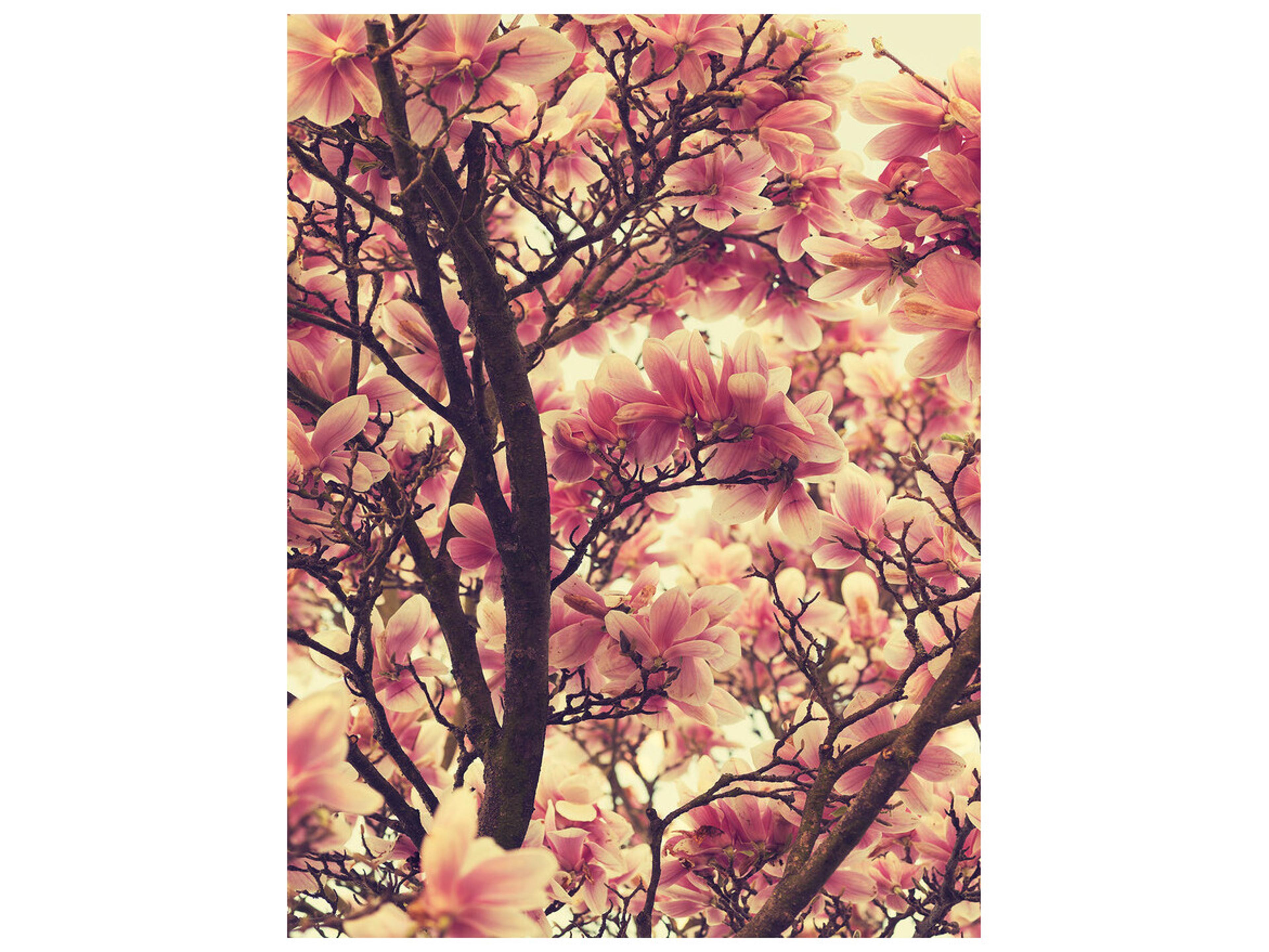 Daleno Flesh and Blood I Wall Art