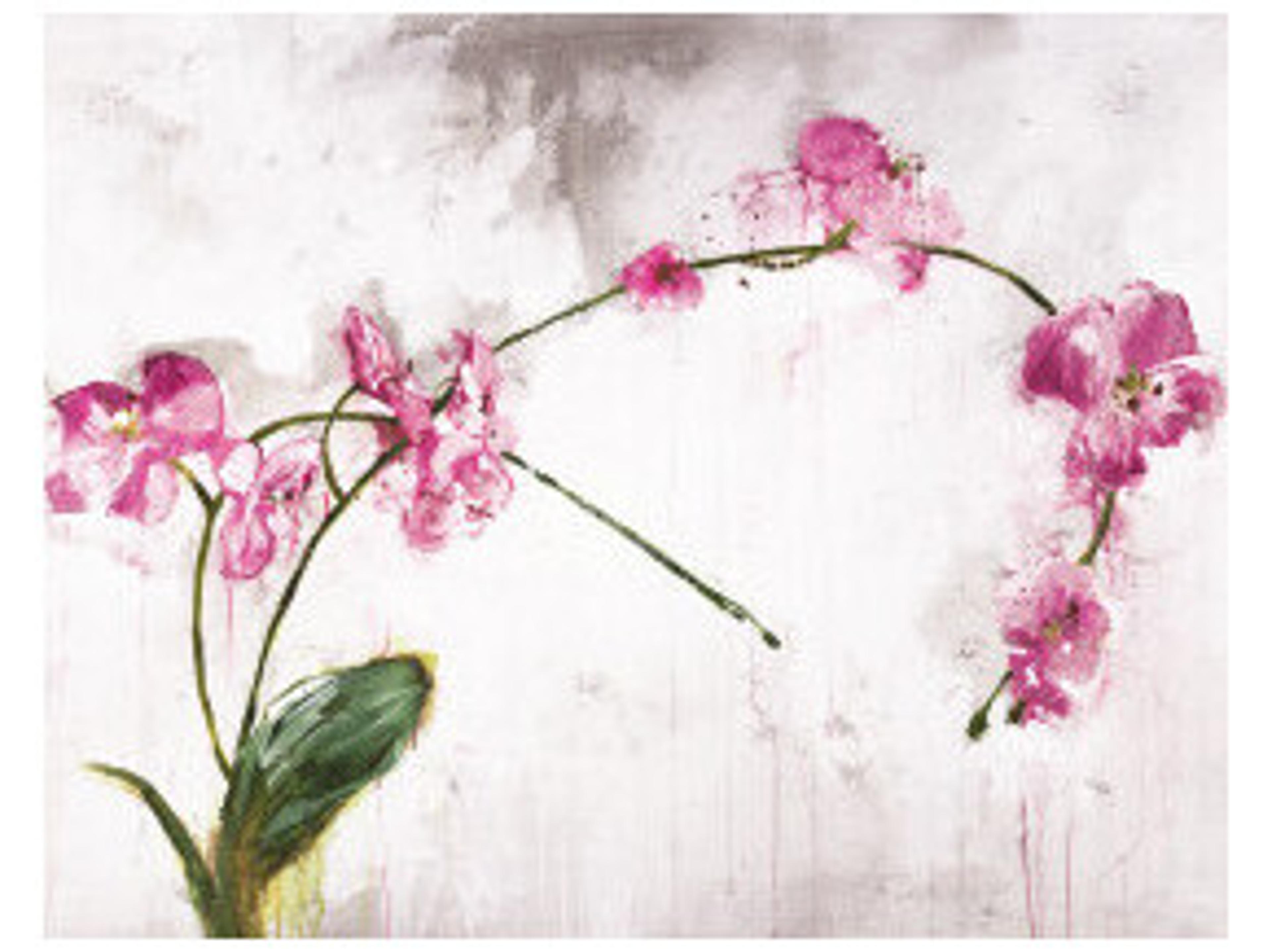 Daleno February Pink Wall Art
