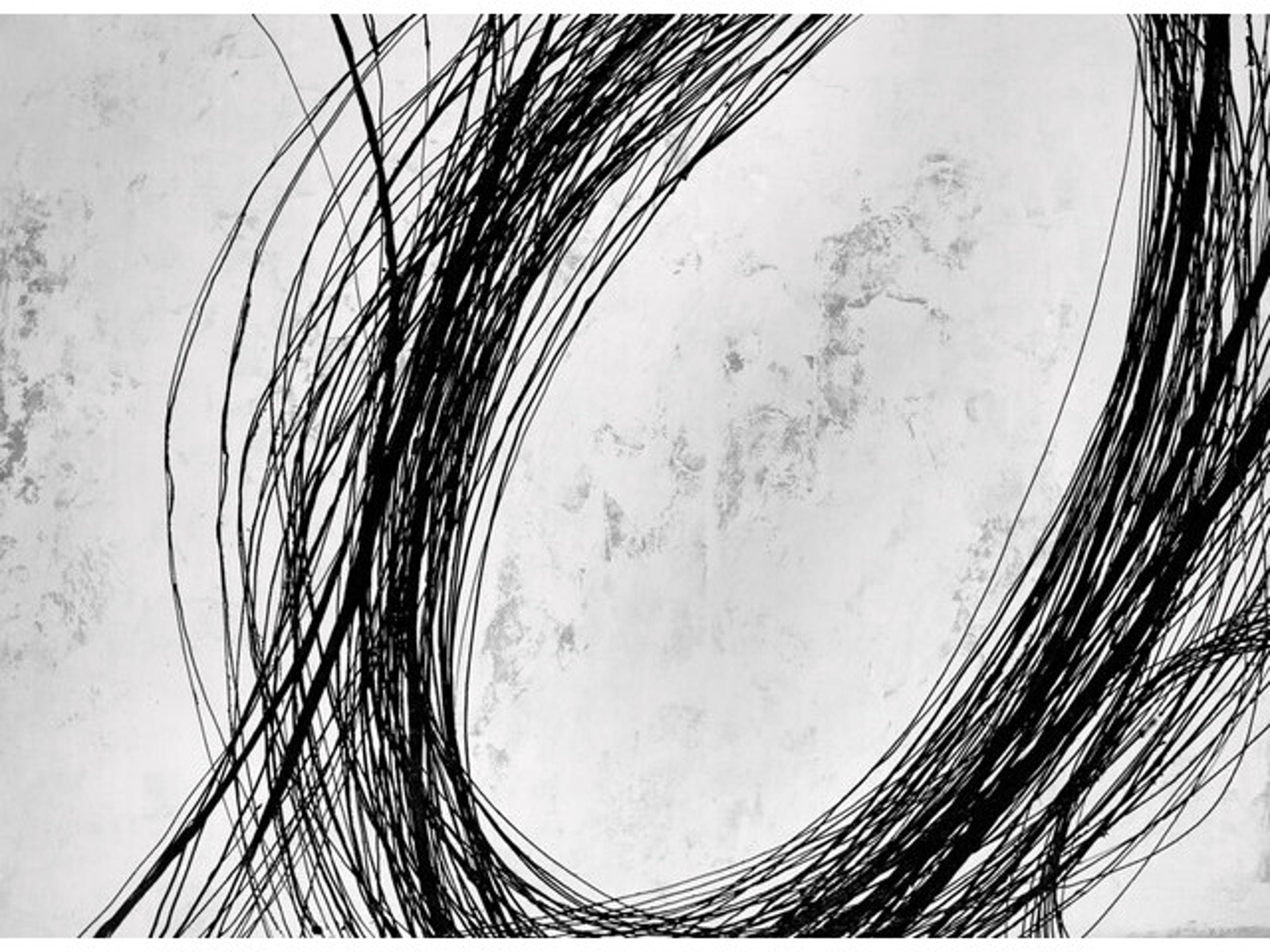 Daleno Whorl Wall Art