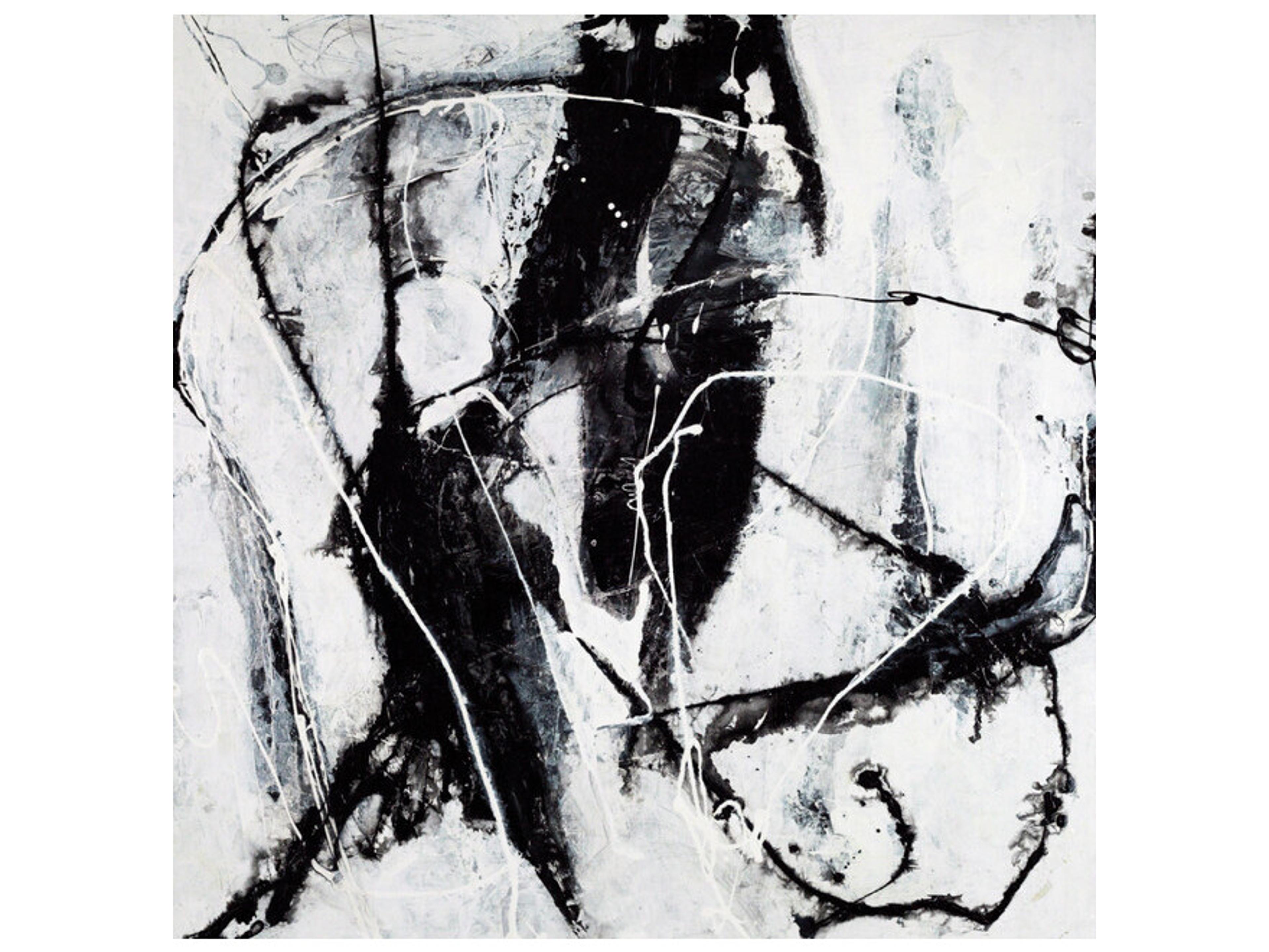 Daleno Polar Opposition Wall Art