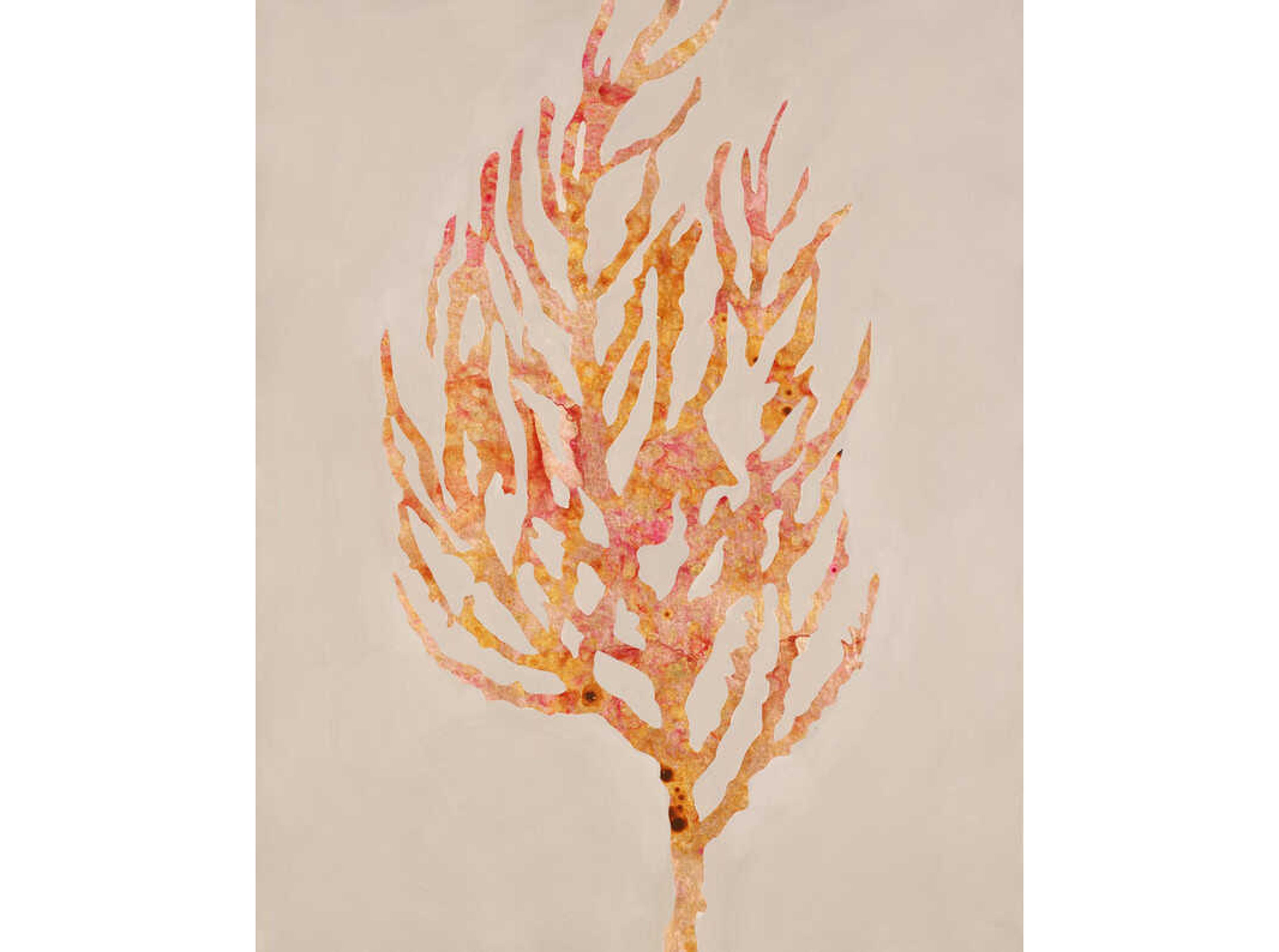 Daleno Fancy Floaters I Wall Art