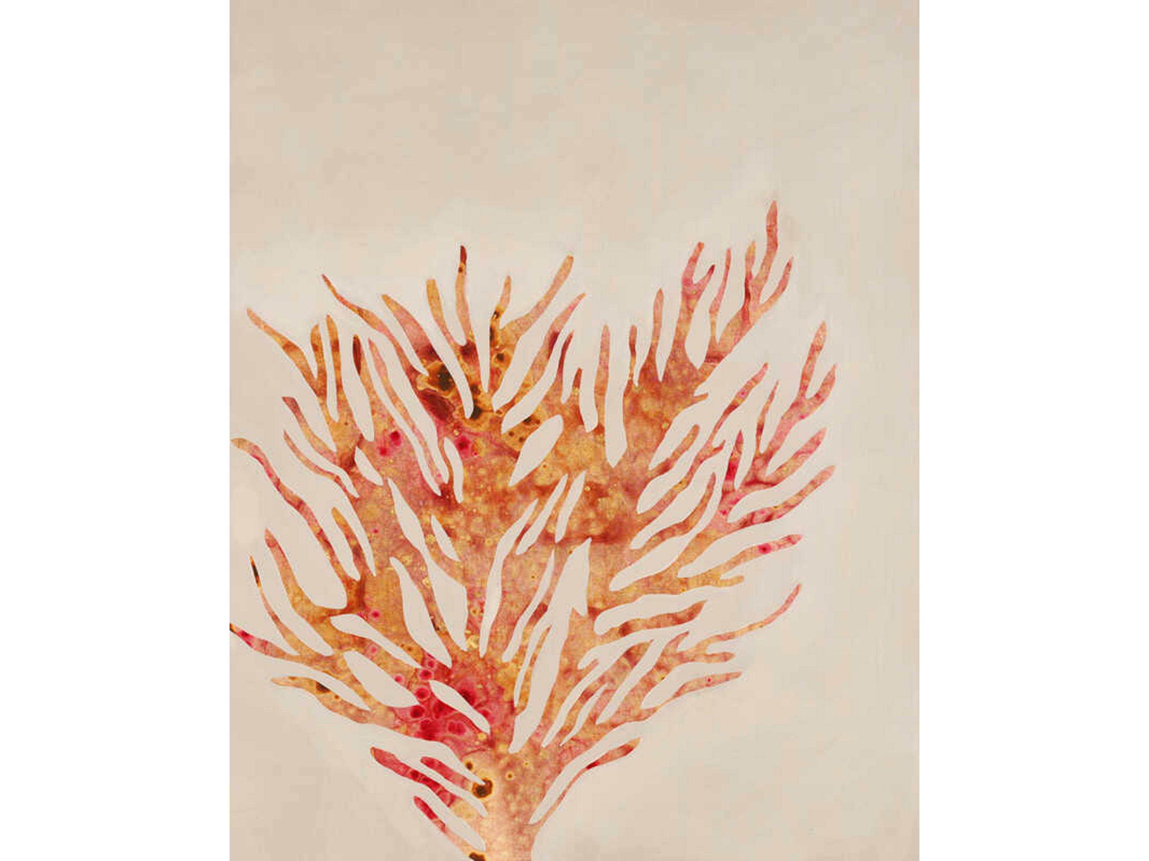 Daleno Fancy Floaters III Wall Art