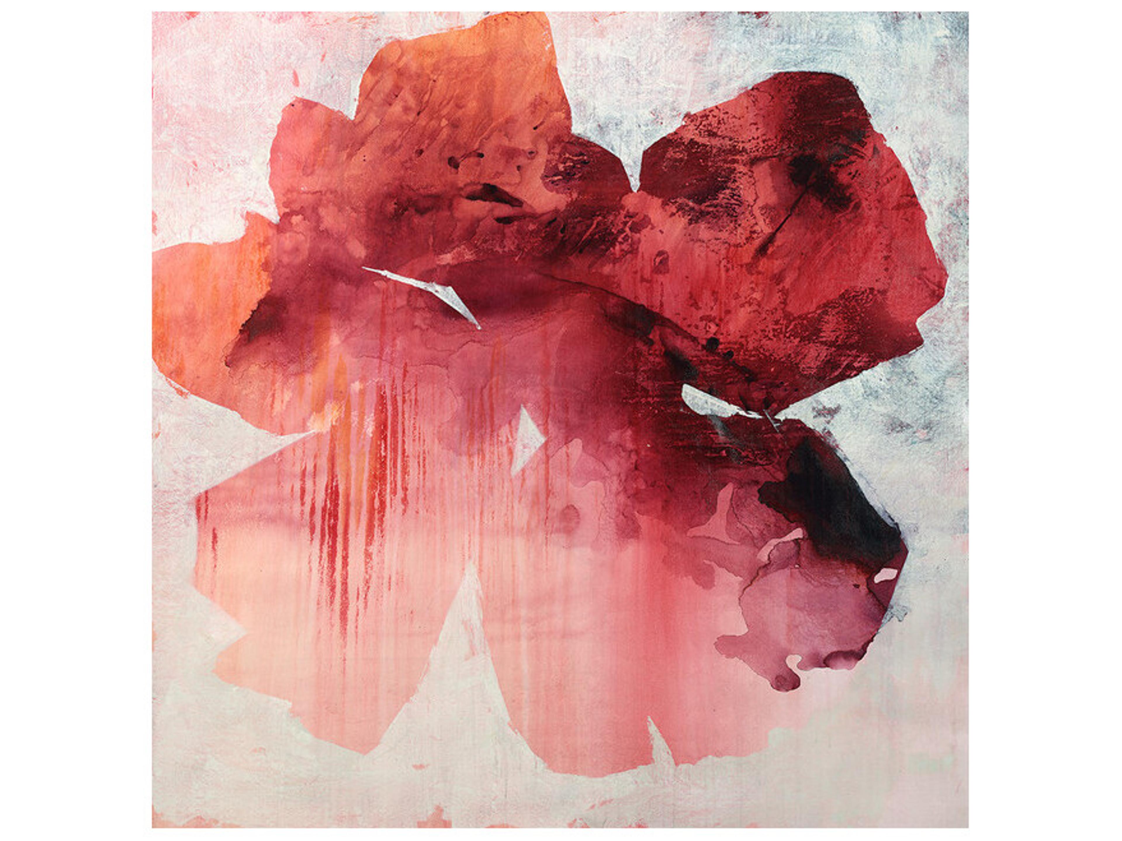 Daleno Posy Rosy Wall Art