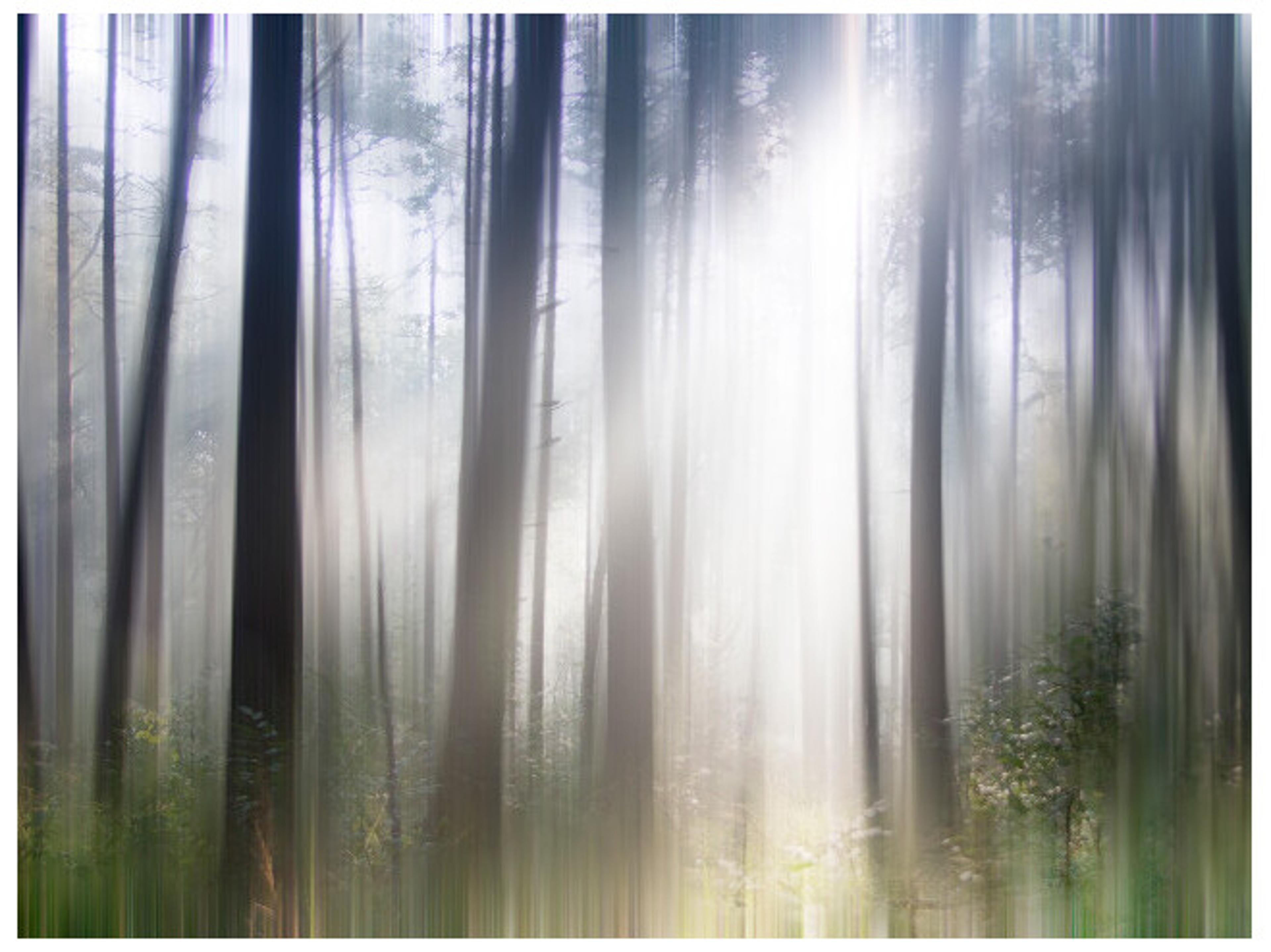 Daleno Basic Instinct Wall Art