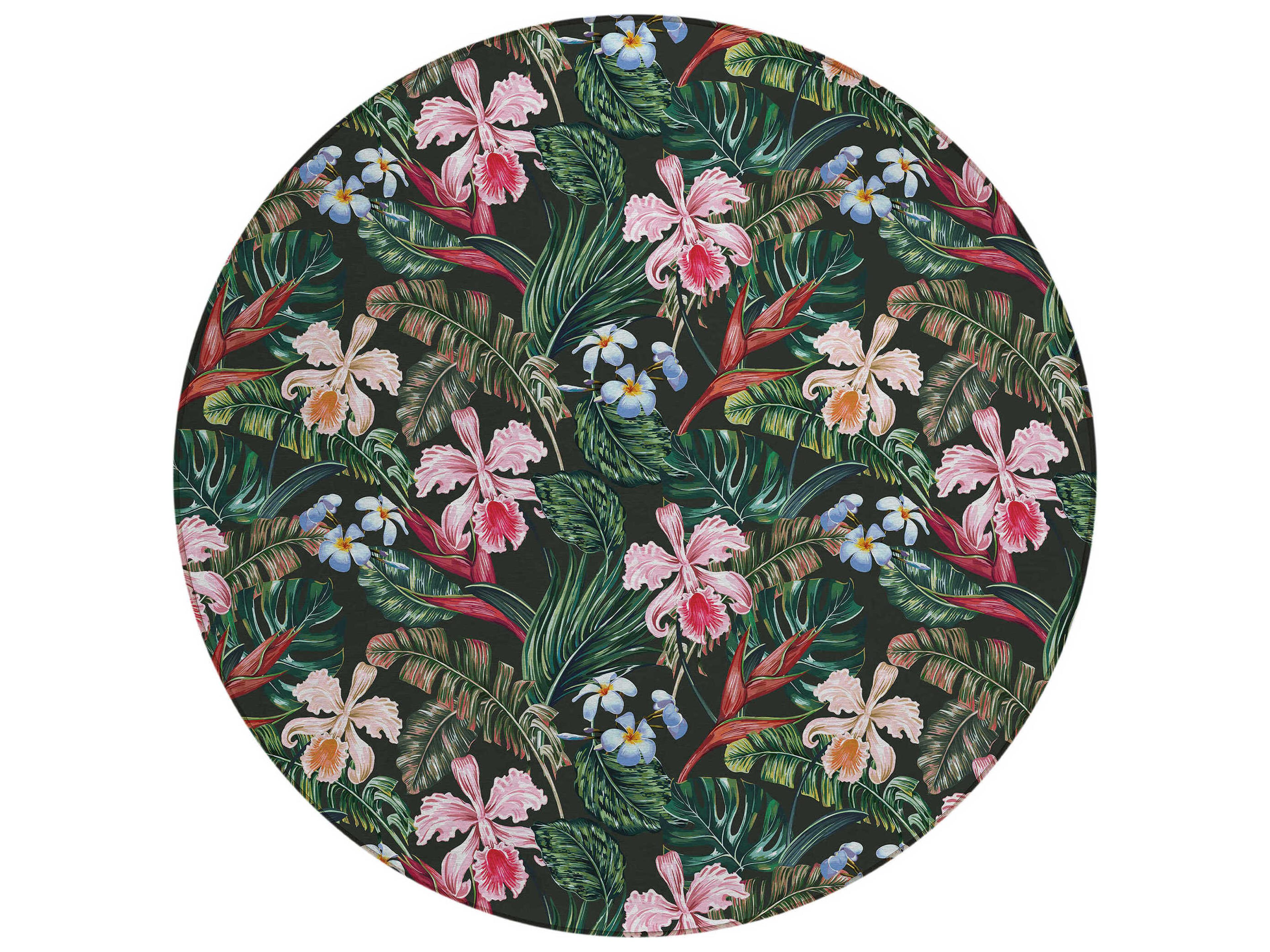 Dalyn Tropics Graphic Area Rug