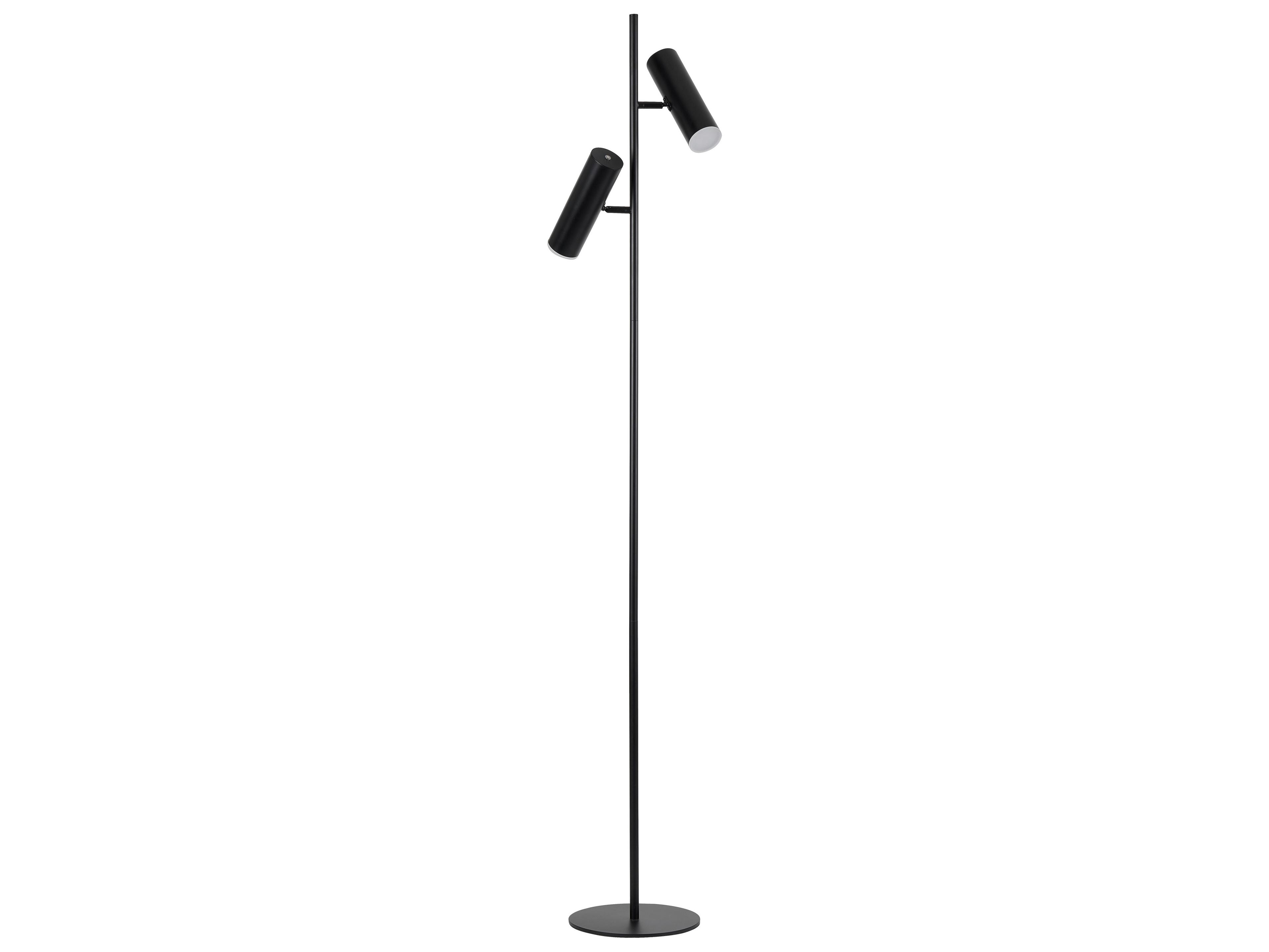 Dainolite Constance Matte Black Frosted Acrylic Floor Lamp