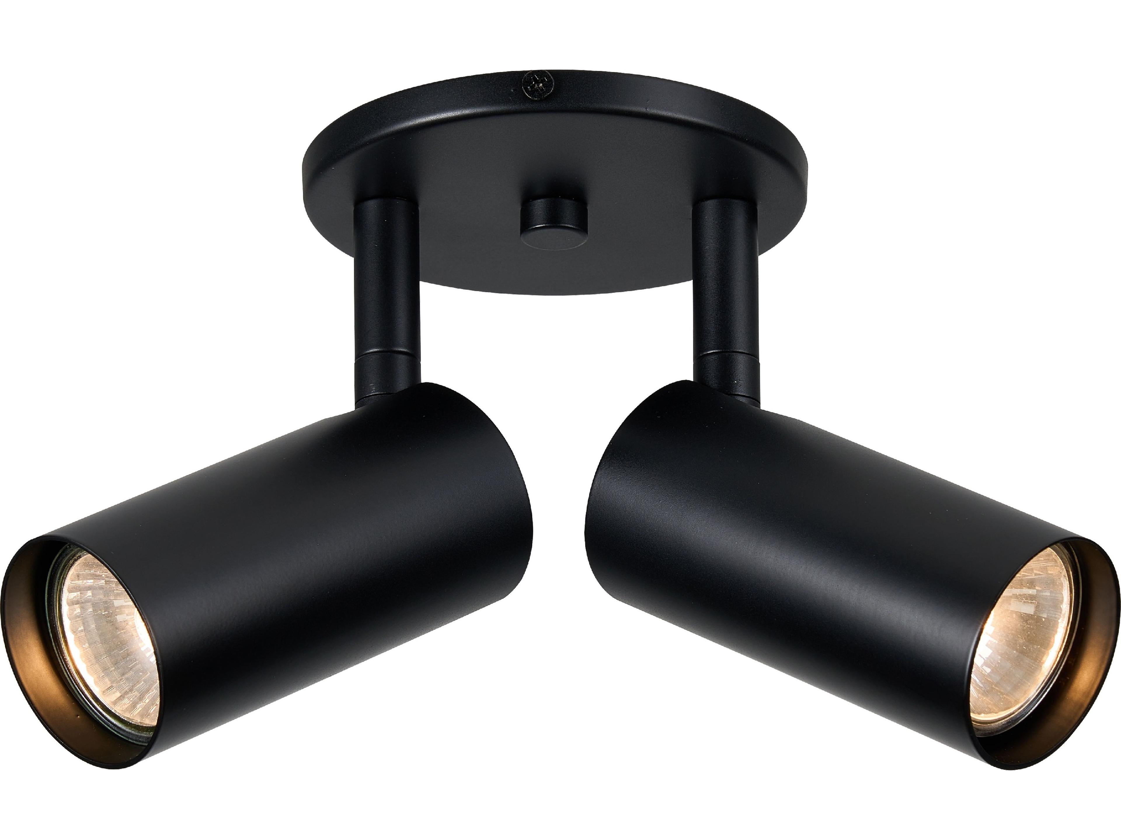 Dainolite Stanly 2-Light Matte Black Cylinder Spot Light