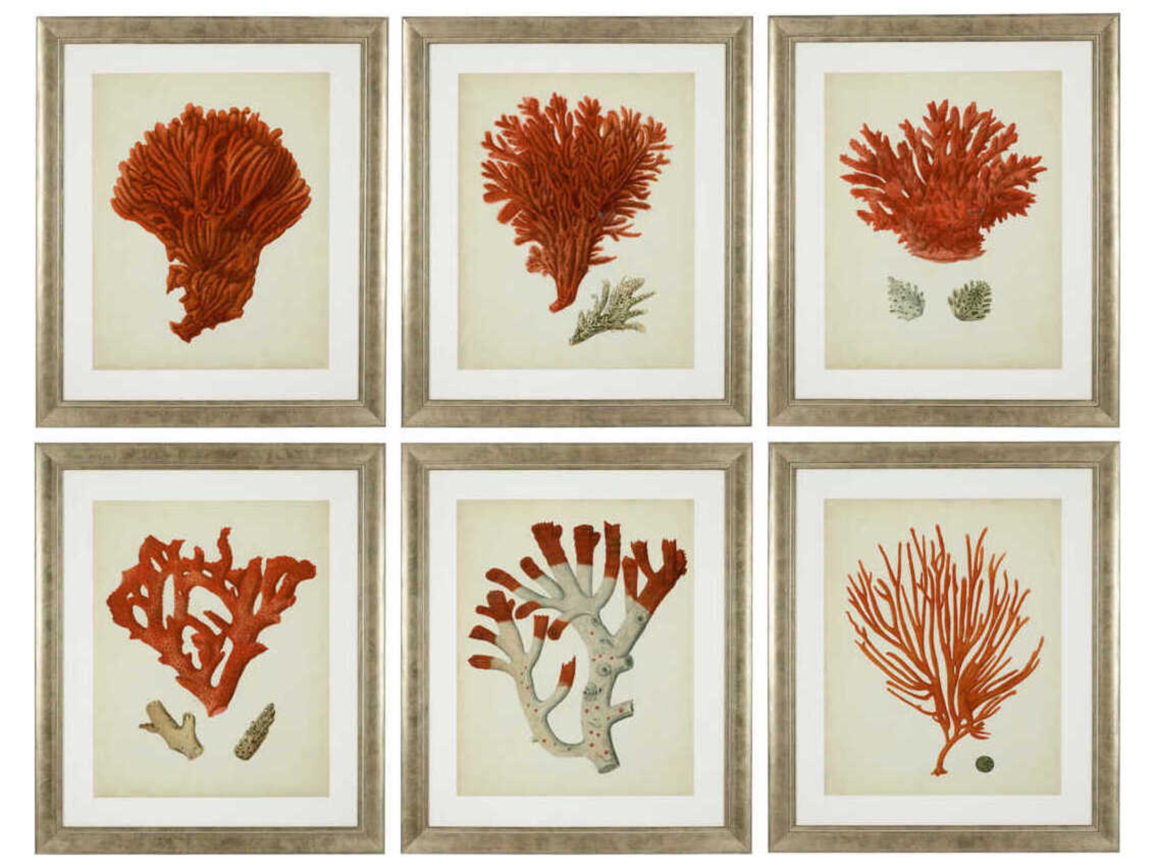 Eichholtz Set of 6 Print Antique Red Corals