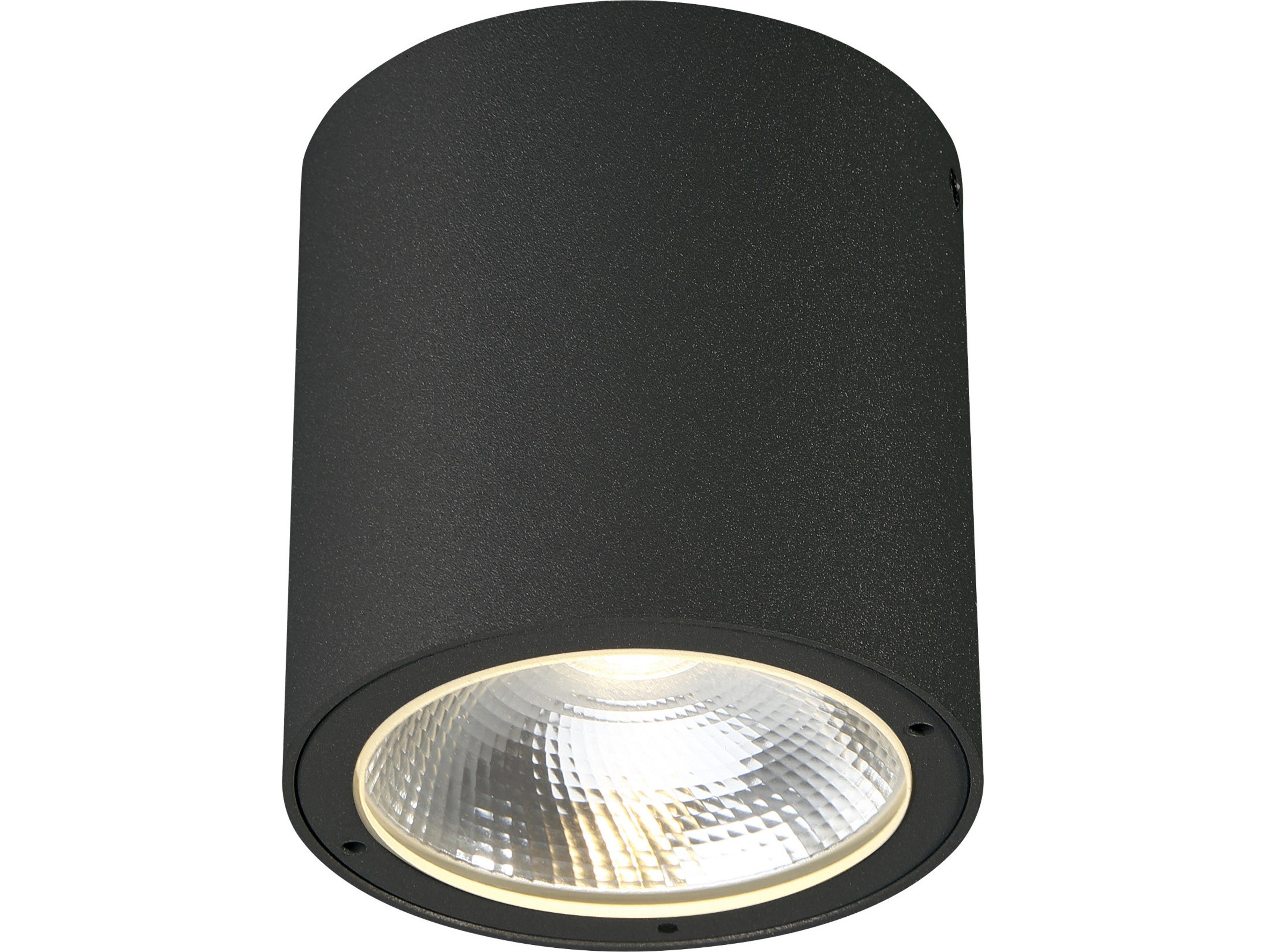 Sky Outdoor Ceiling Light