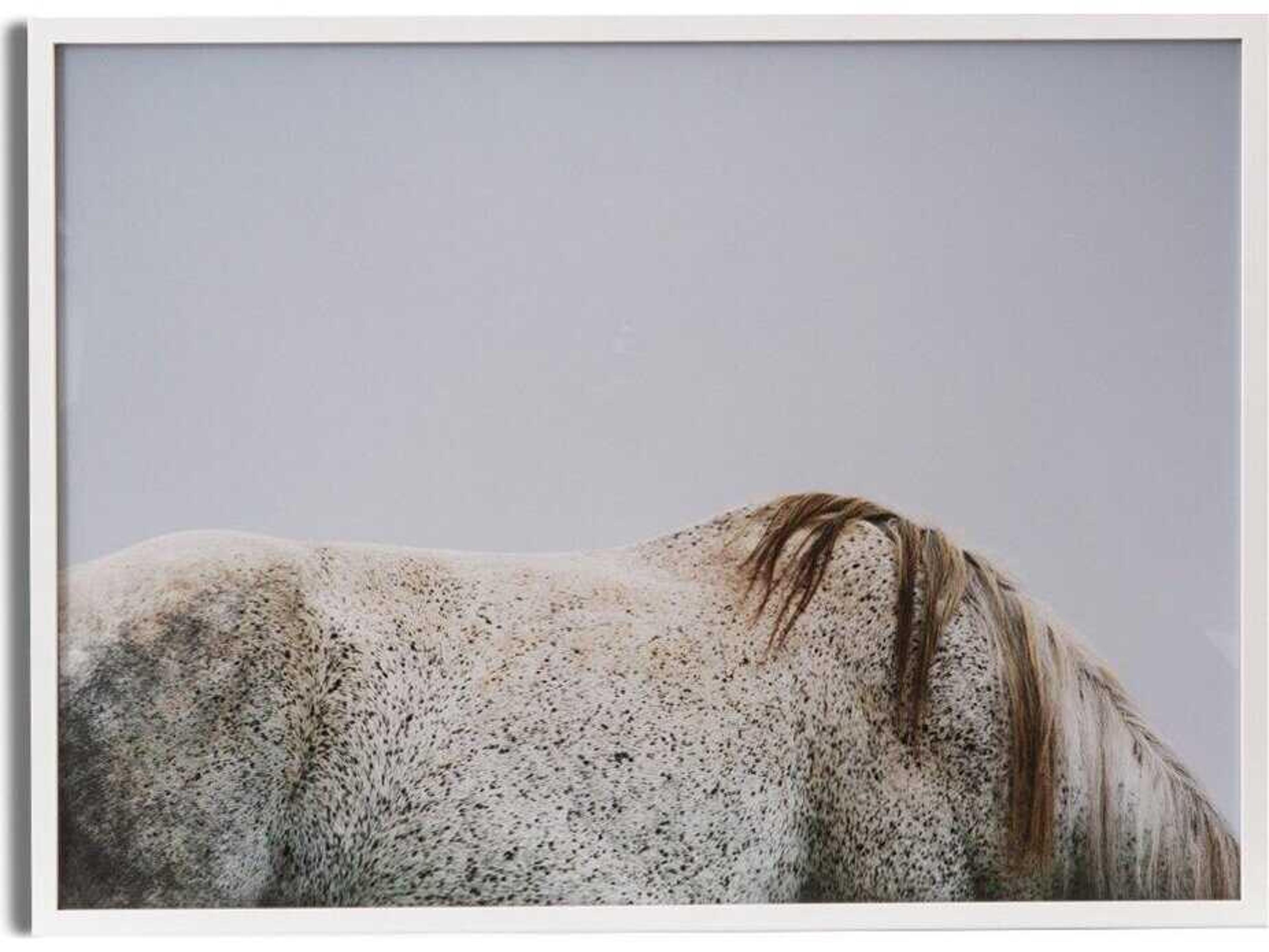 Art Studio Graze White Maple Floater  Canvas Wall Art