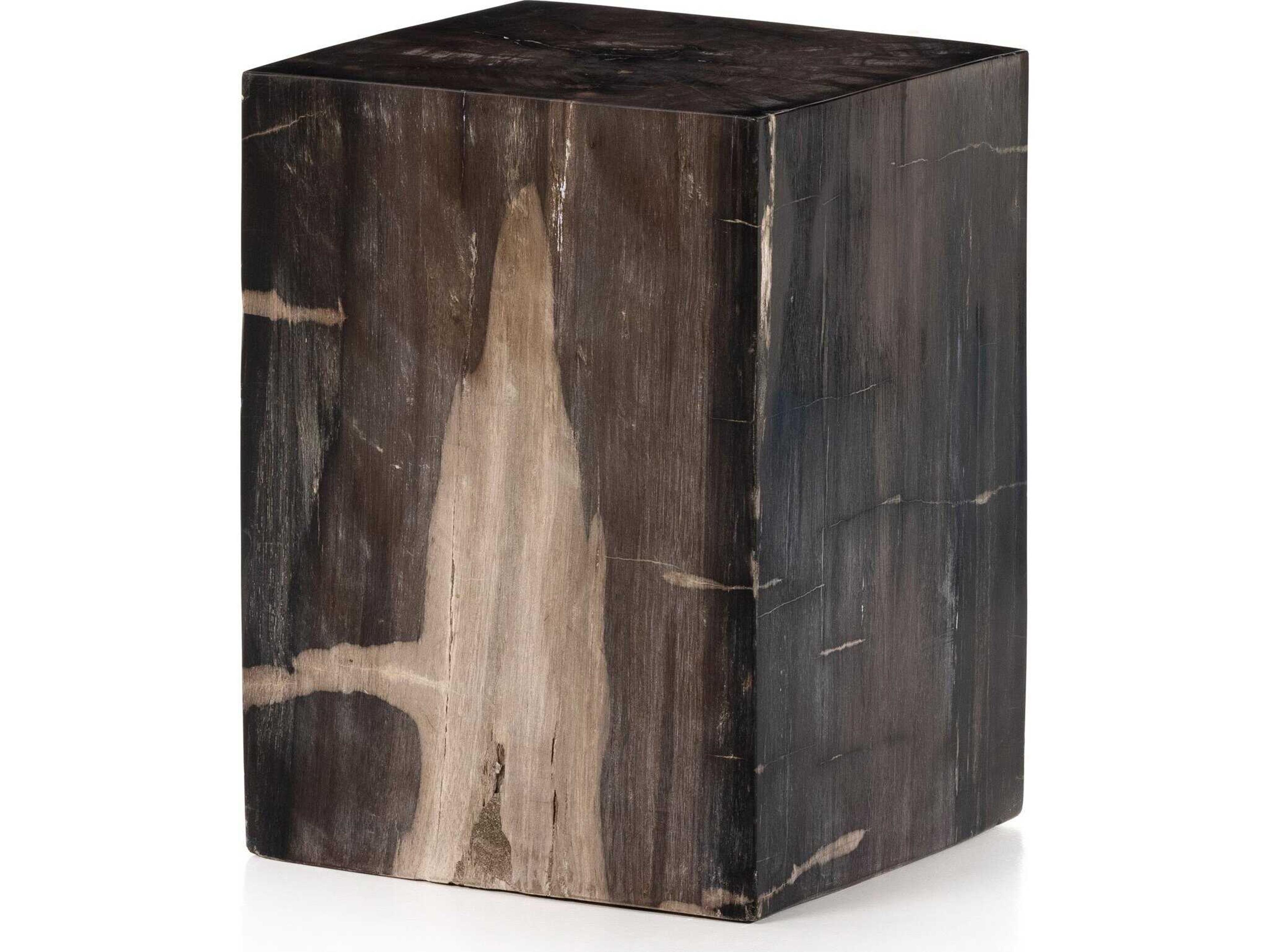Four Hands Palu Buck Square Dark Petrified Wood End Table