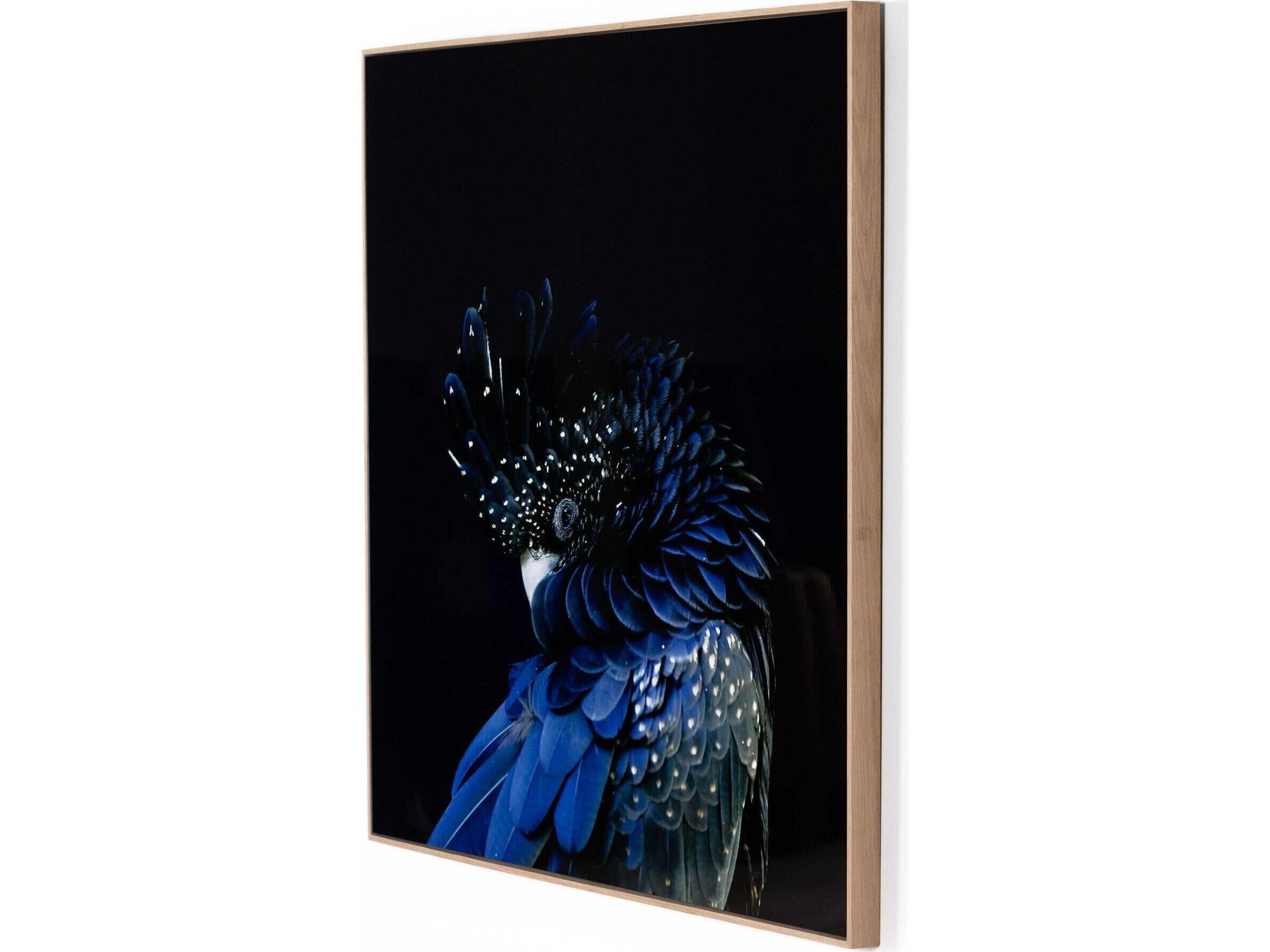 Art Studio Red-Tailed Black Cockatoo By Getty Image Wall Art
