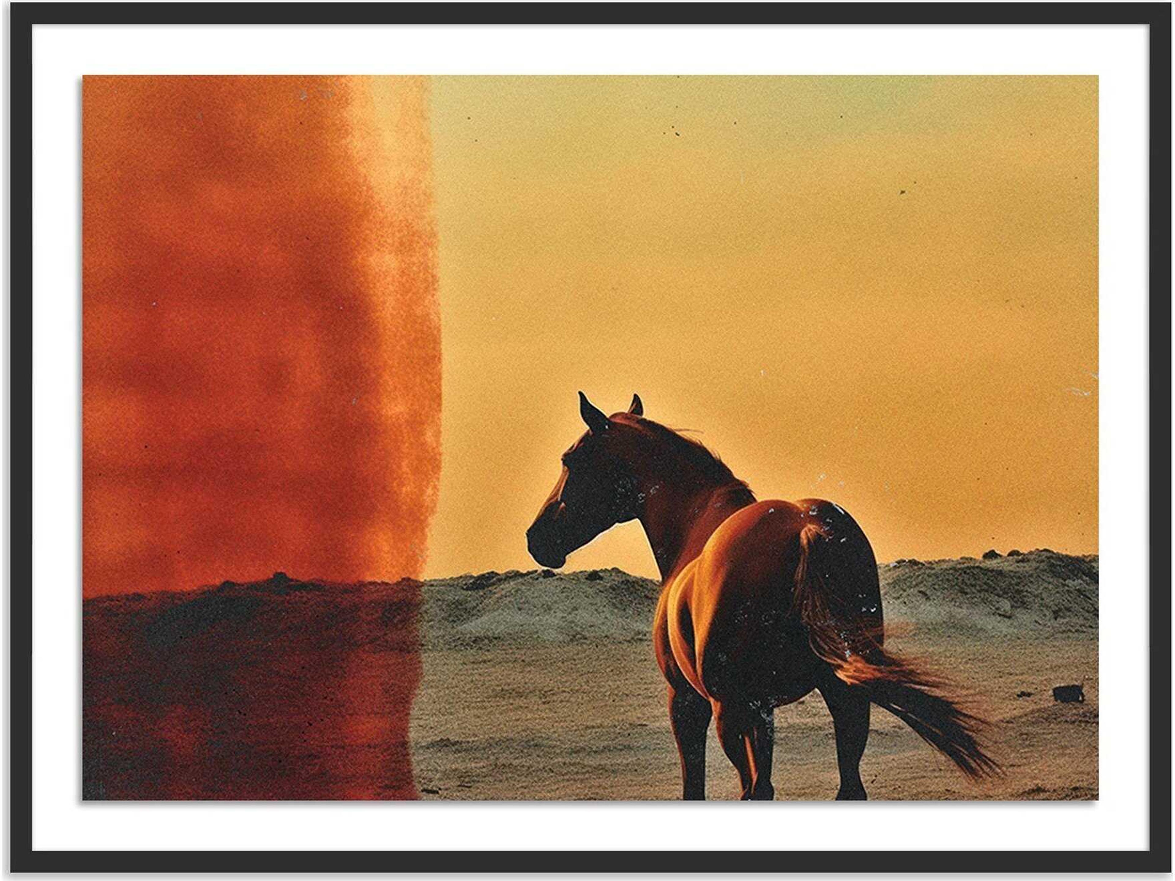 Four Hands Art Studio Horse by Coup D'esprit Black Maple Canvas Wall Art