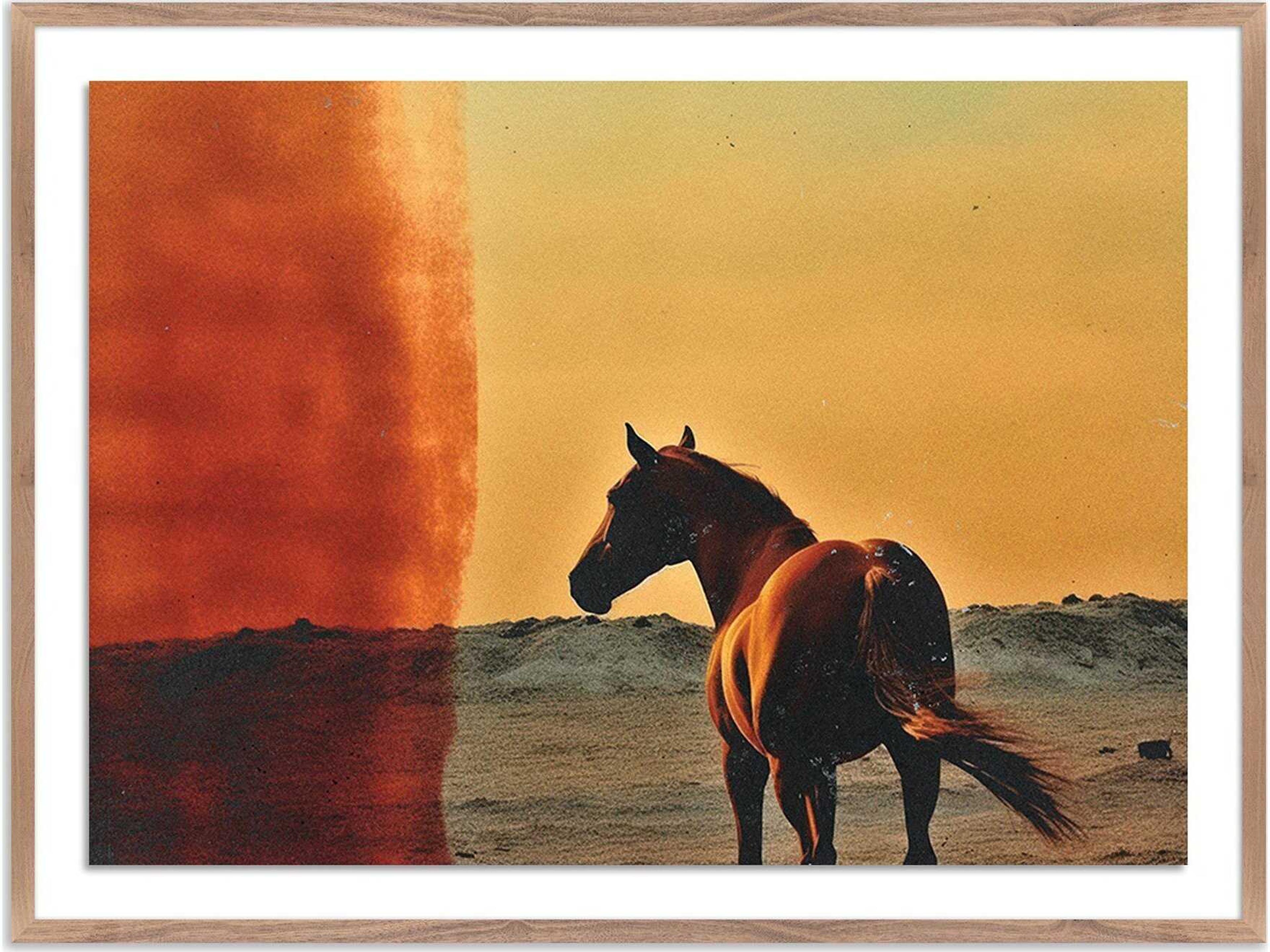 Four Hands Art Studio Horse by Coup D'esprit Rustic Walnut Canvas Wall Art