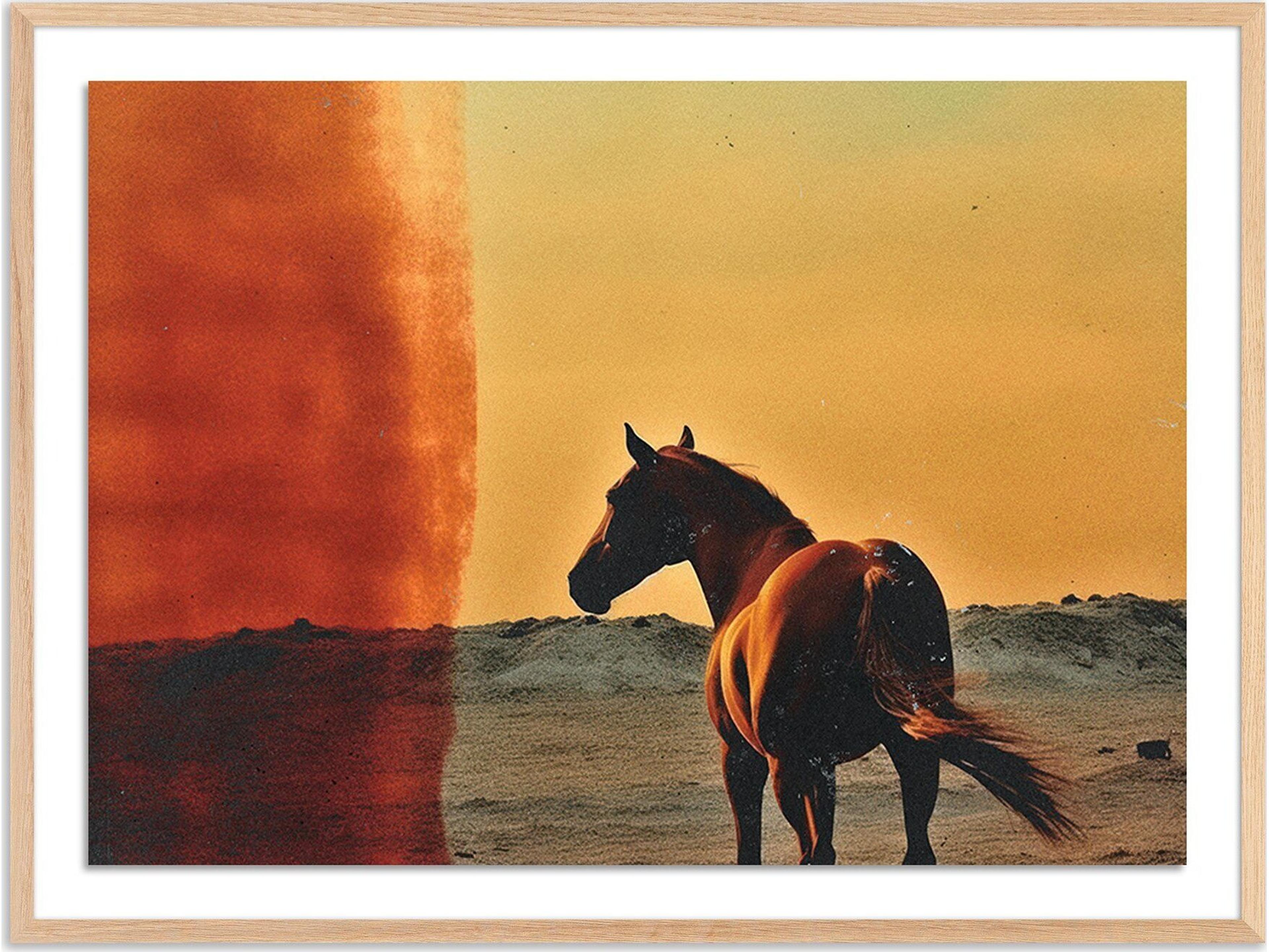 Four Hands Art Studio Horse by Coup D'esprit Vertical Grain White Oak Canvas Wall Art