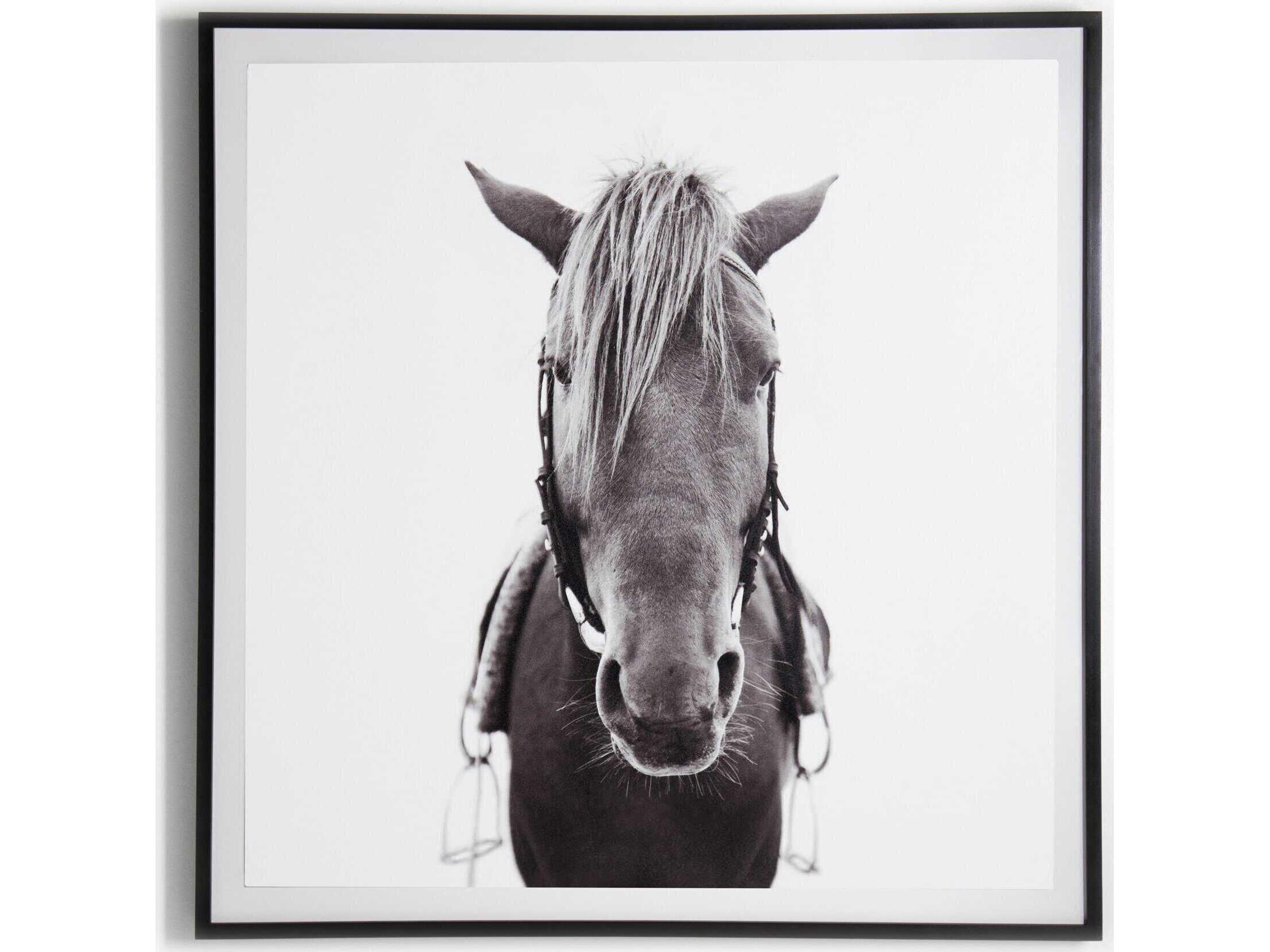 Four Hands Art Studio Horse Photo Print / Painting