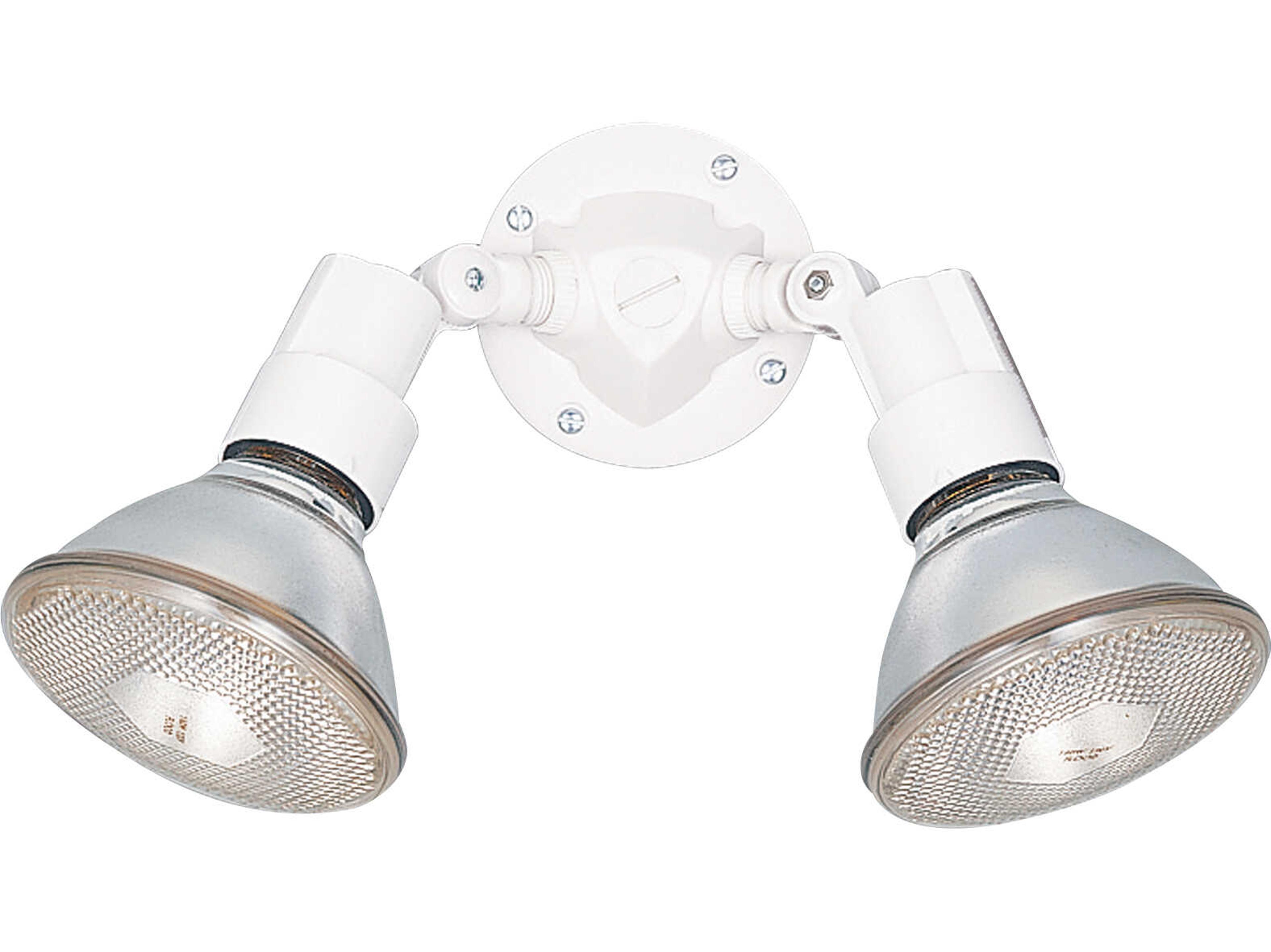 Generation Lighting Flood Light 2 - Outdoor Wall Light