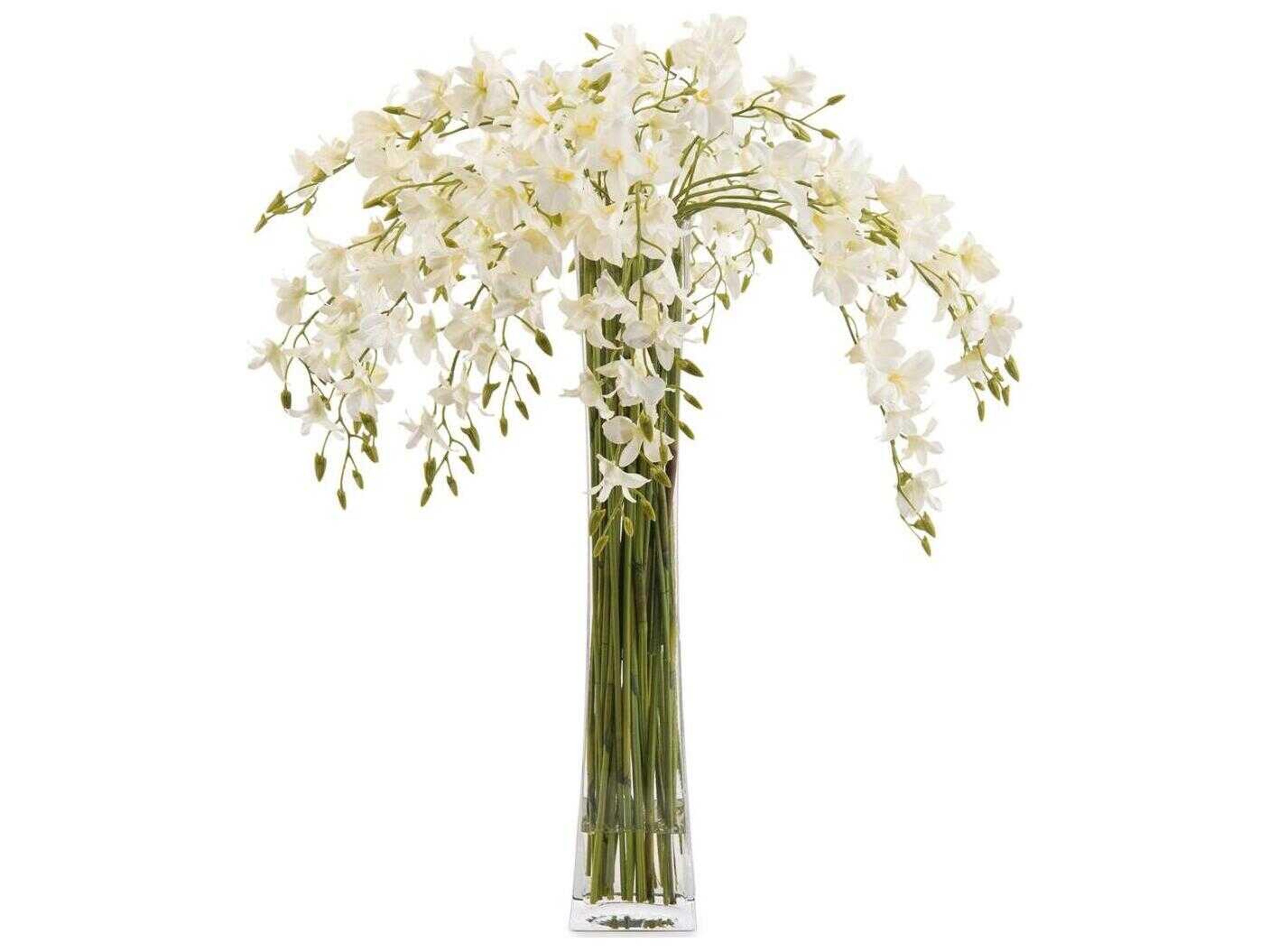 John Richard Towering Dendrobiums