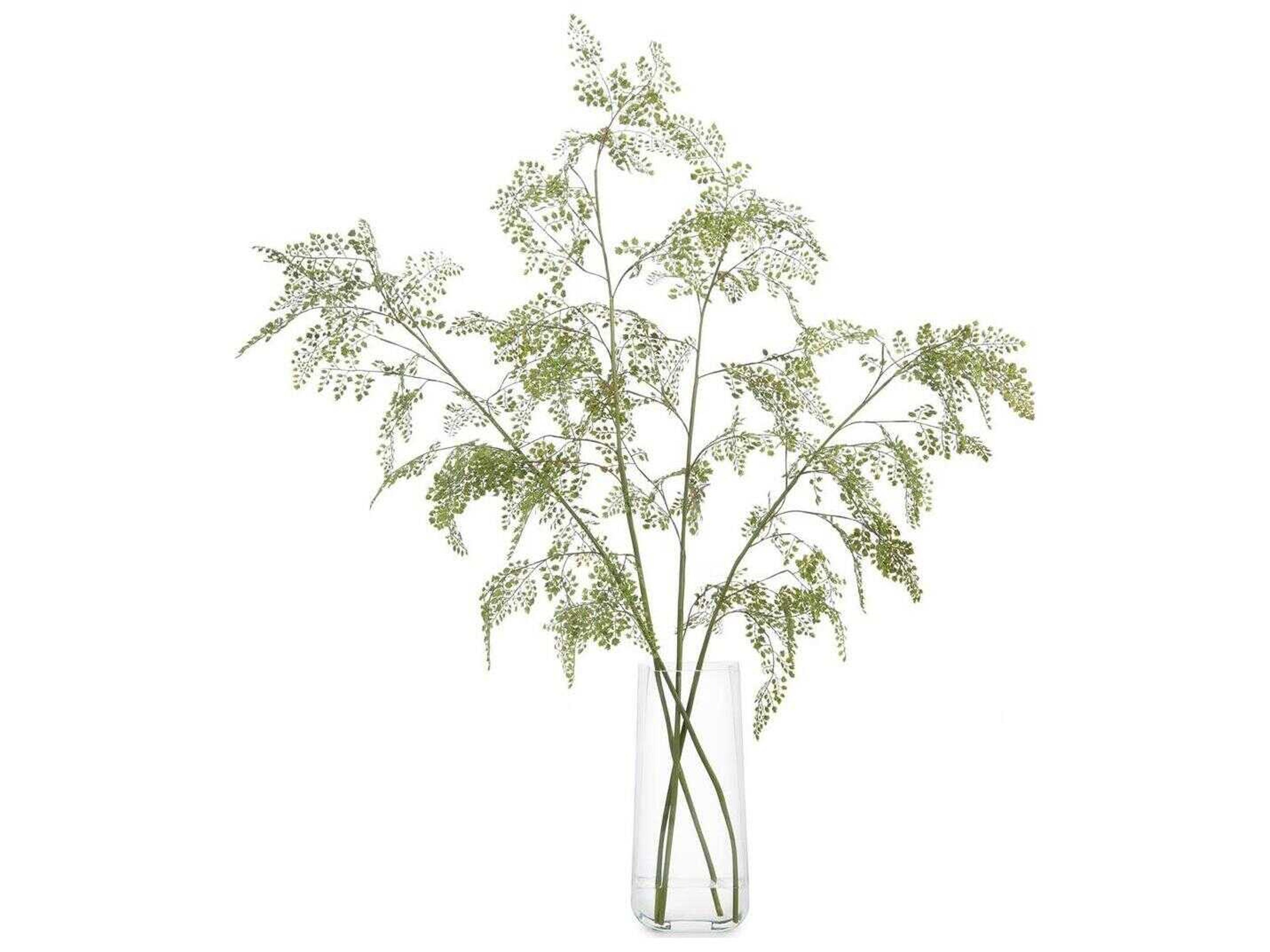 John Richard Aqua Fern