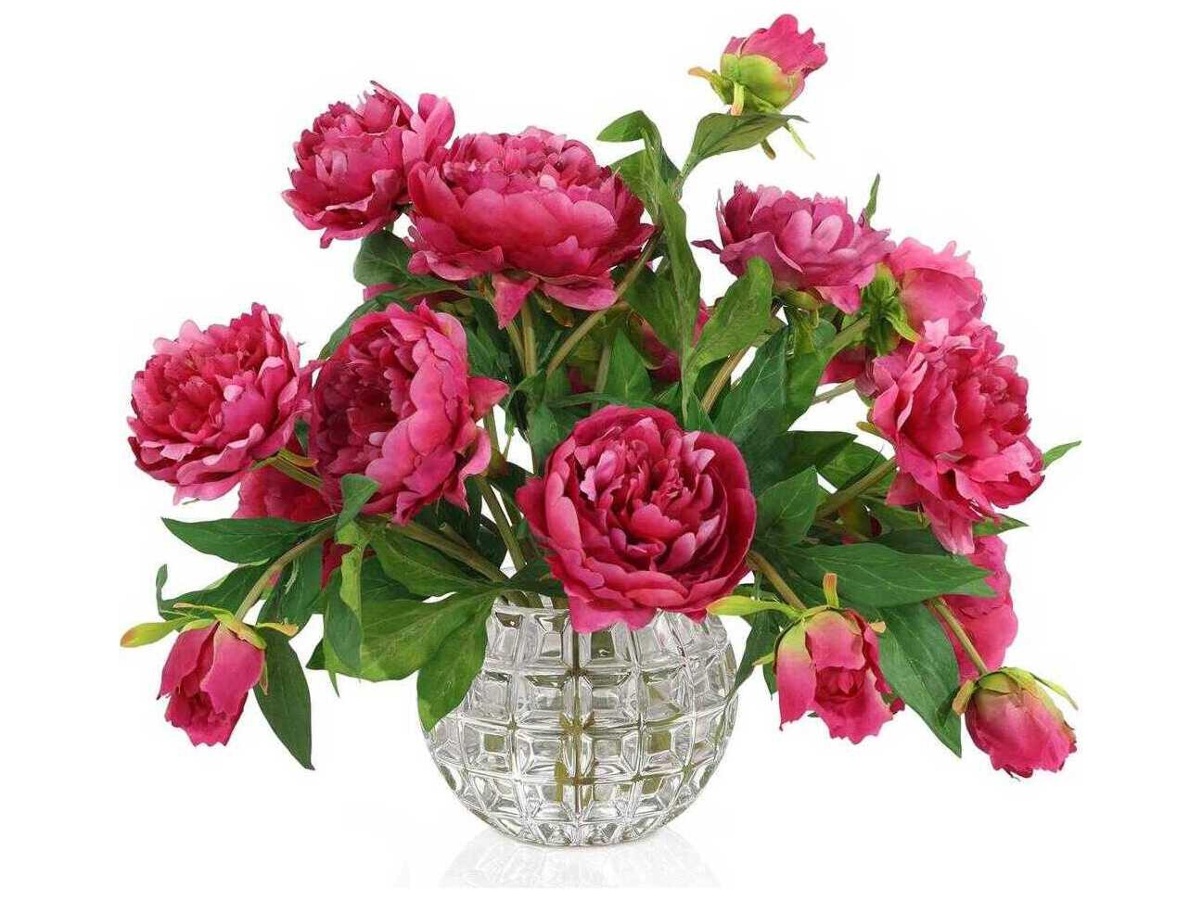 John Richard Garden Peonies Botanical