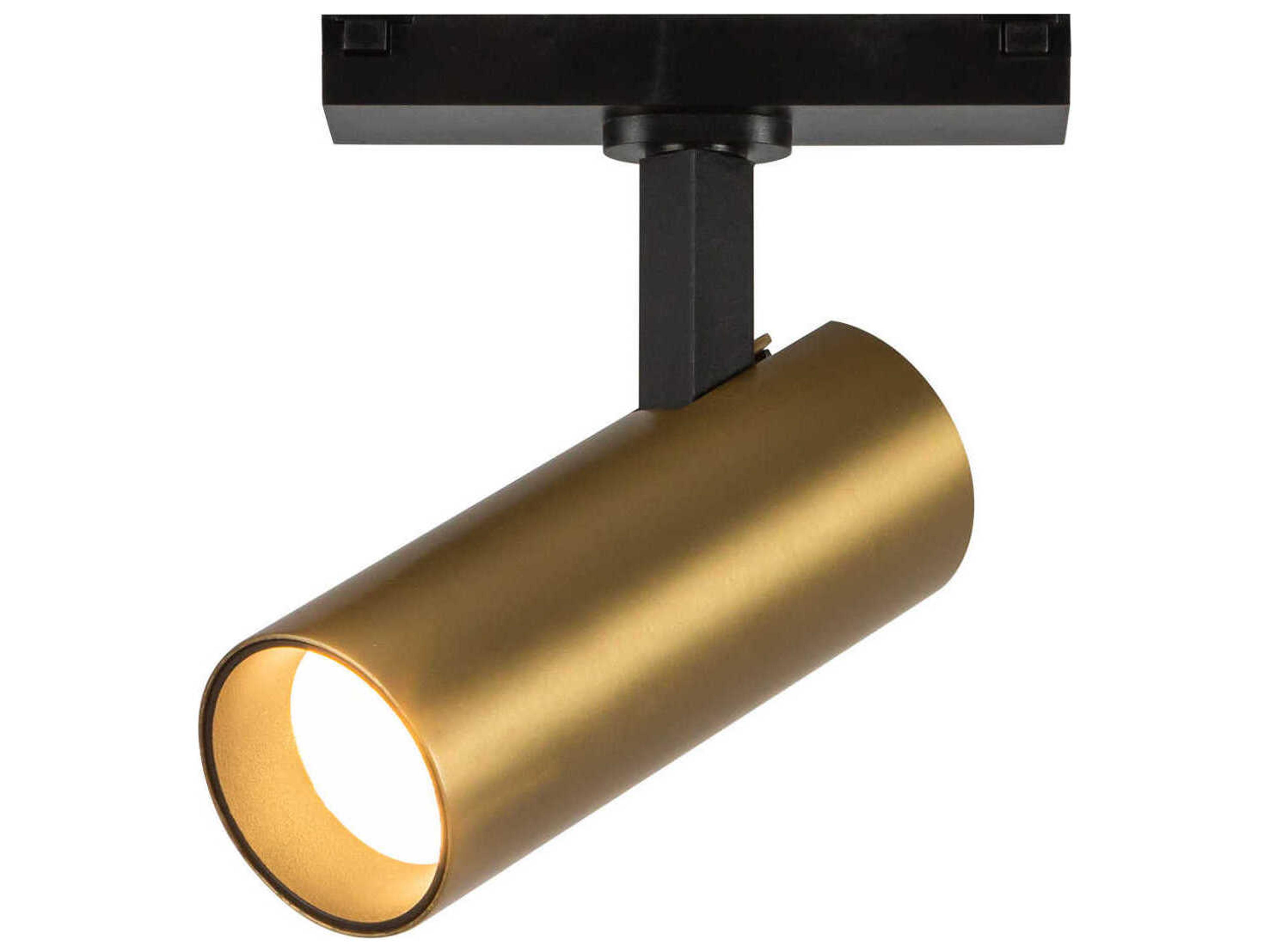 Kuzco Lighting Paolo Brushed Gold Cylinder Trilo Track Directional Light