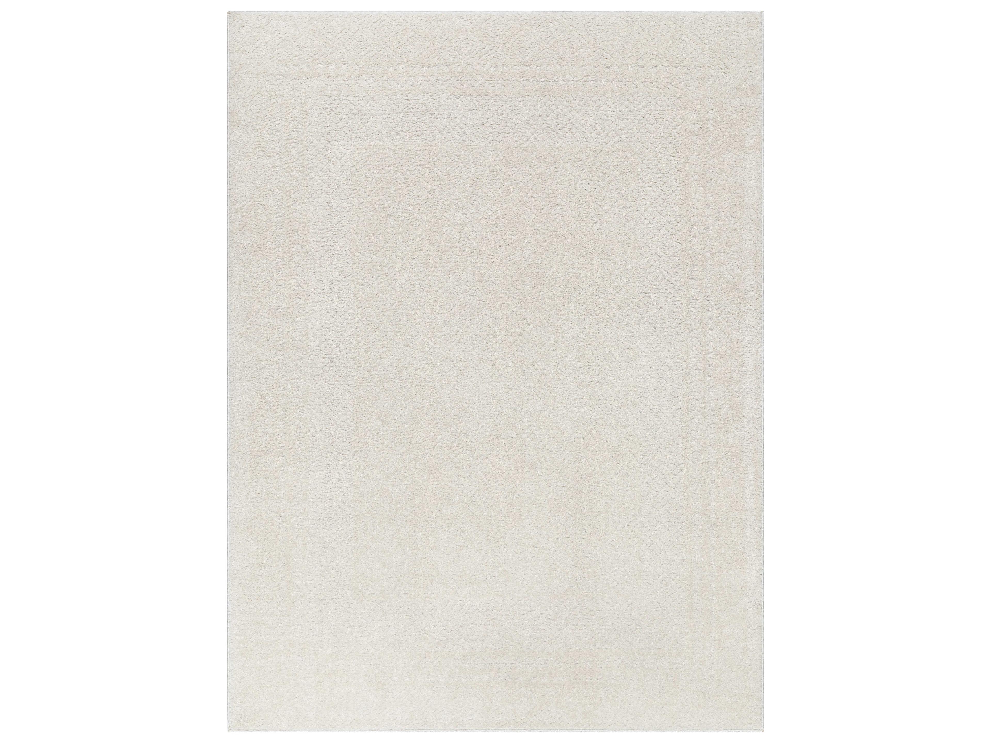 Livabliss by Surya Freud Shag Bordered Area Rug