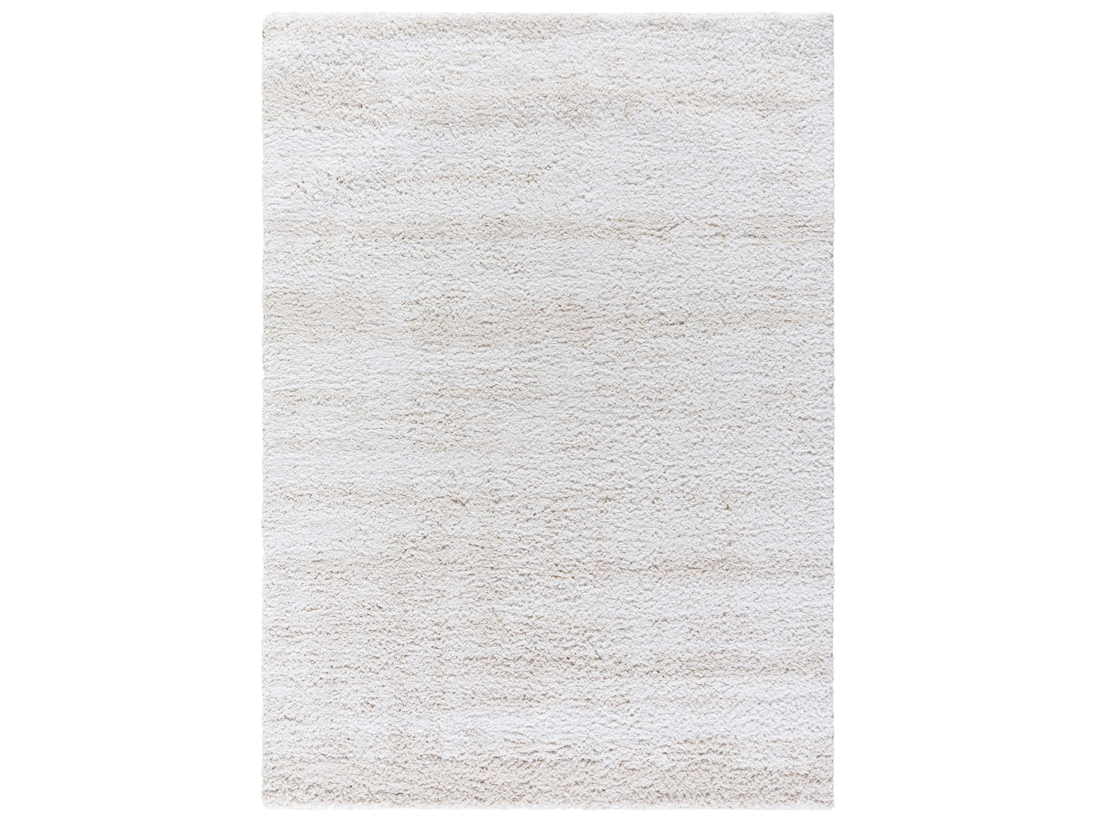 Livabliss by Surya Sacramento Shag Area Rug