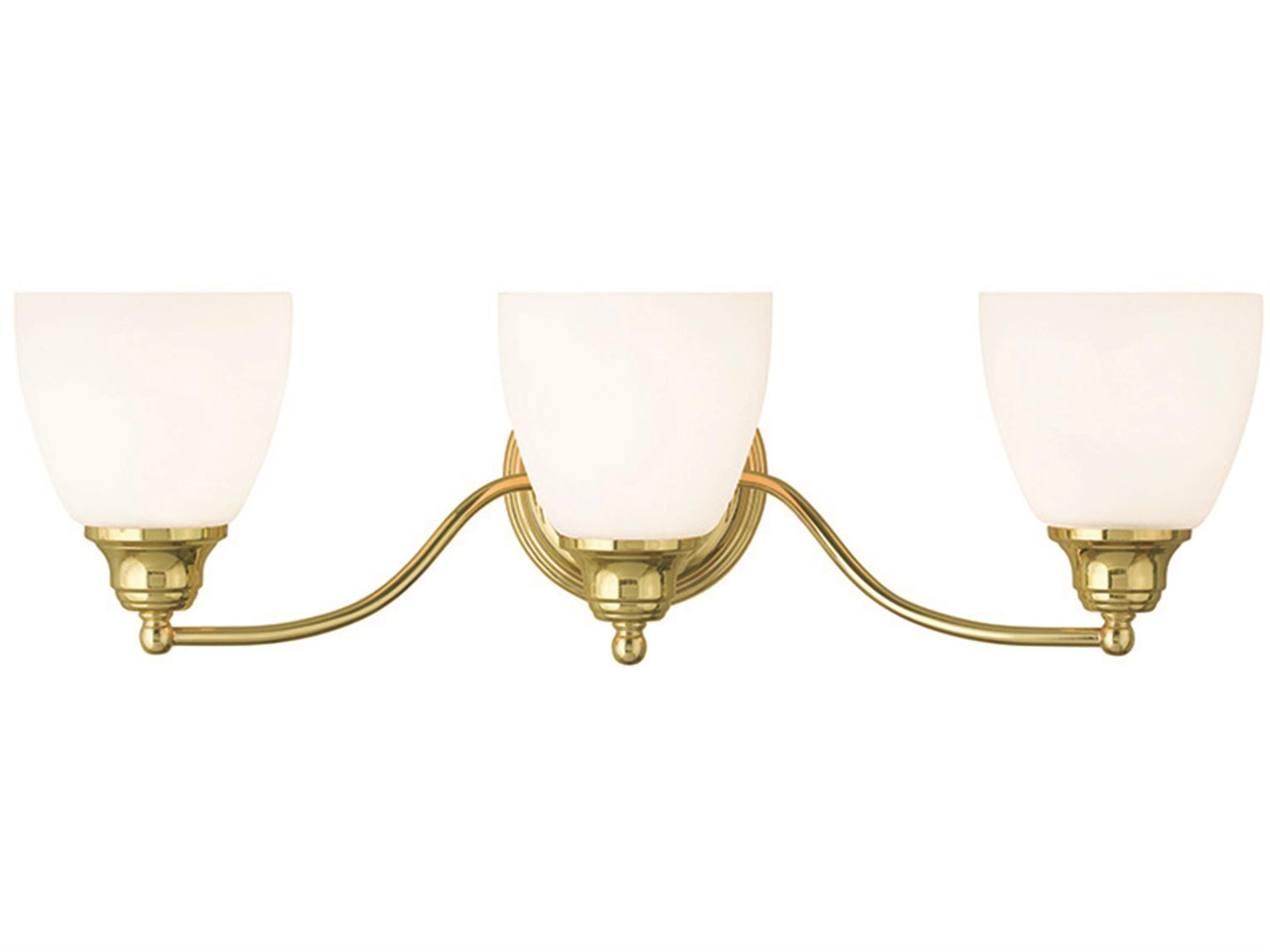 Livex Lighting Somerville 3-Light Polished Brass Glass Vanity Light