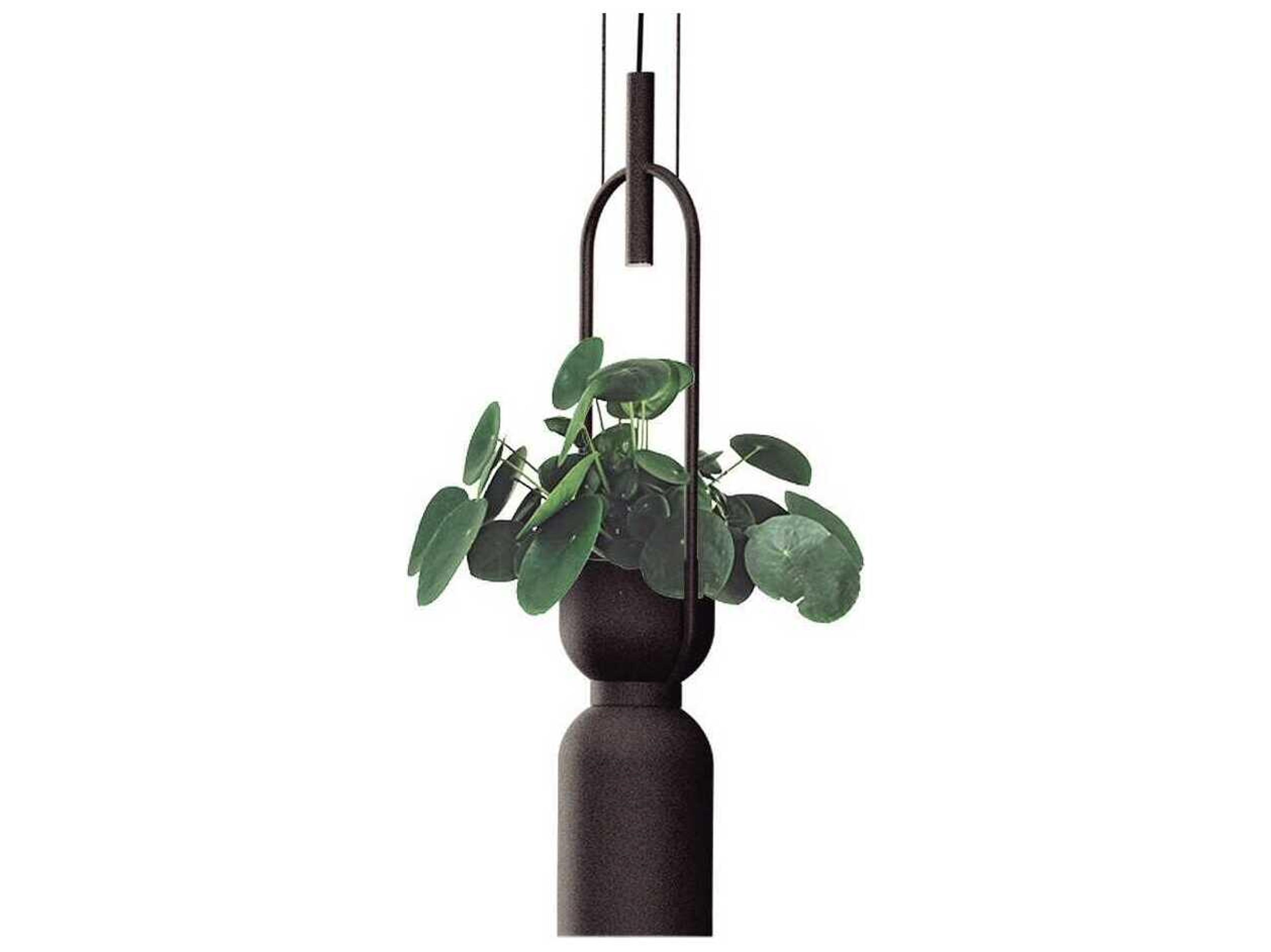 Oxygen 2-Light Black Cylinder Mini Pendant