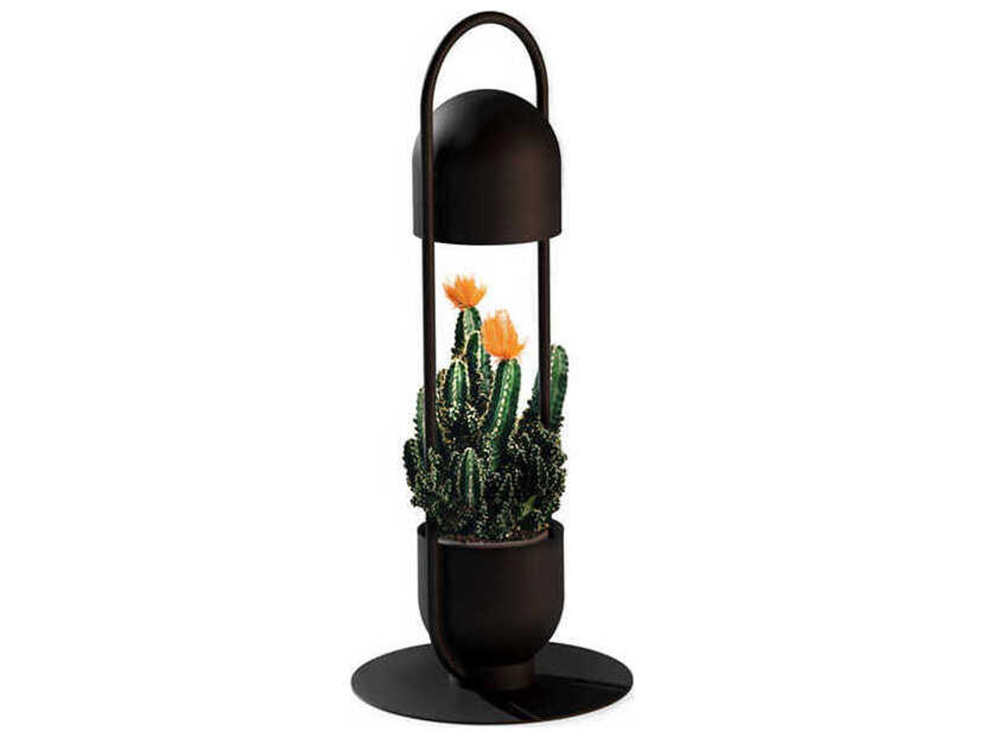 Luxcambra Oxygen Black Table Lamp