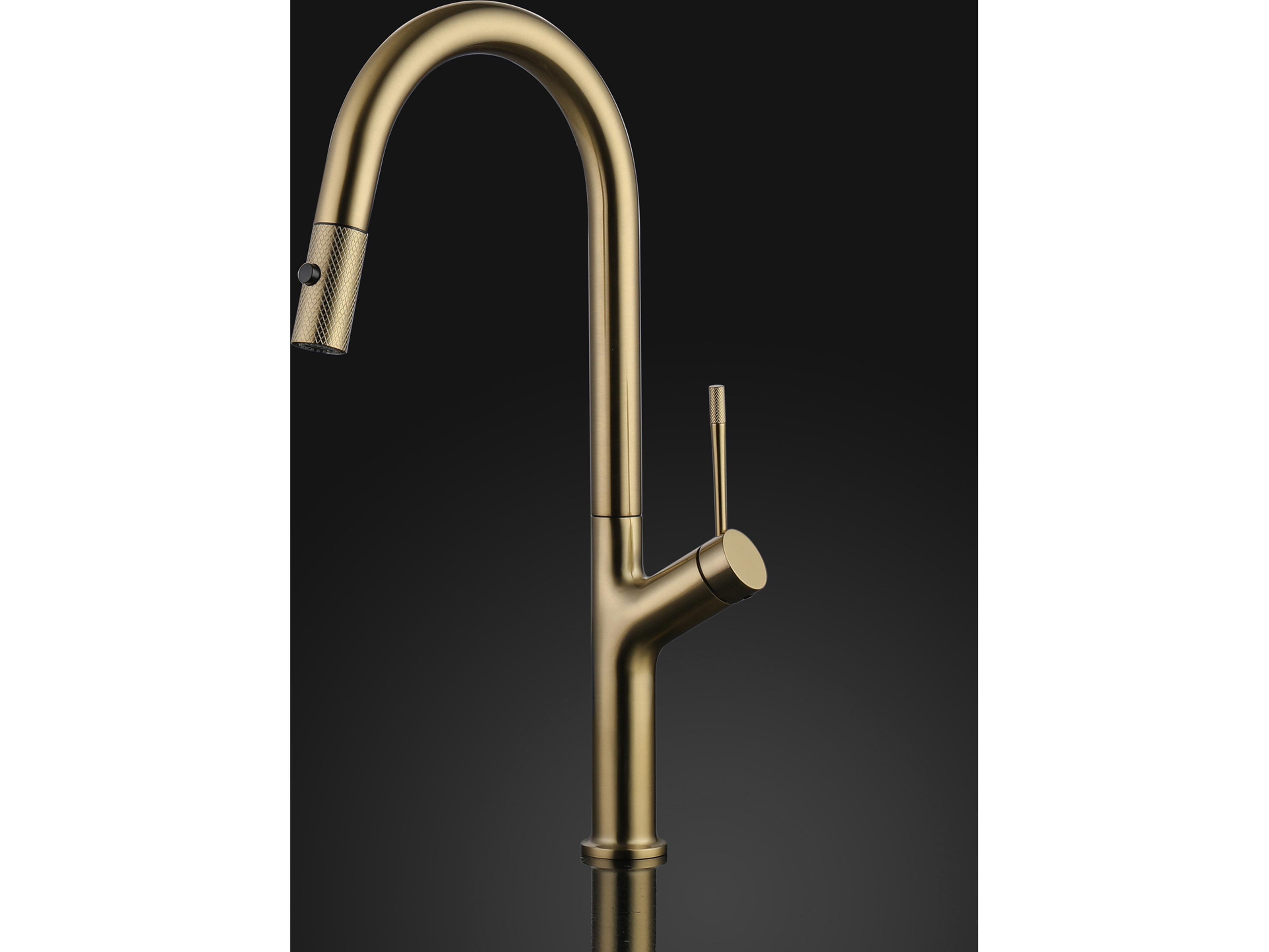 Eclissia Modern Kitchen Faucet with 2 Jets  Brushed Gold