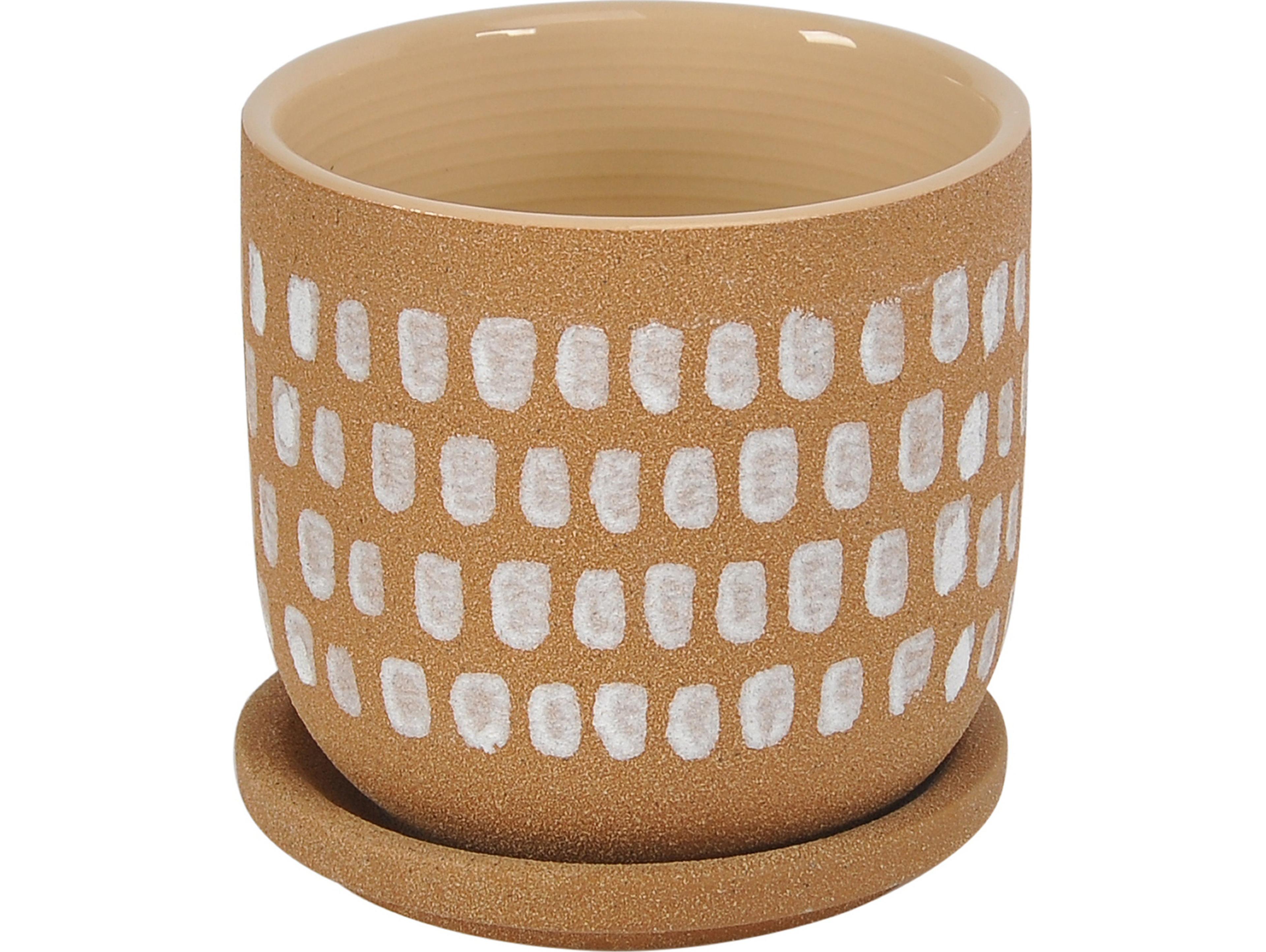 Moe's Home Botanical Planter