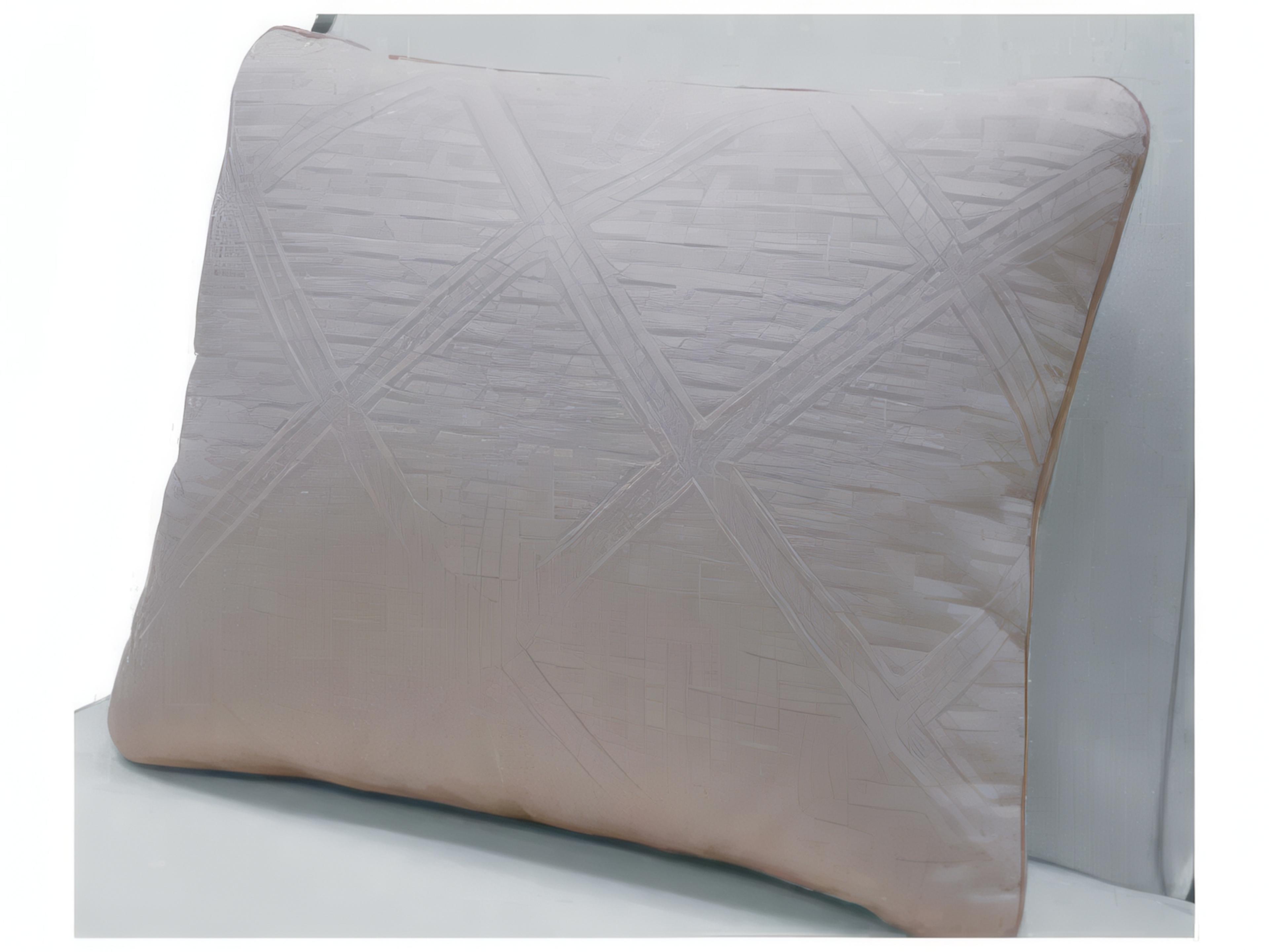 Mr. & Mrs. Howard Throw Pillow