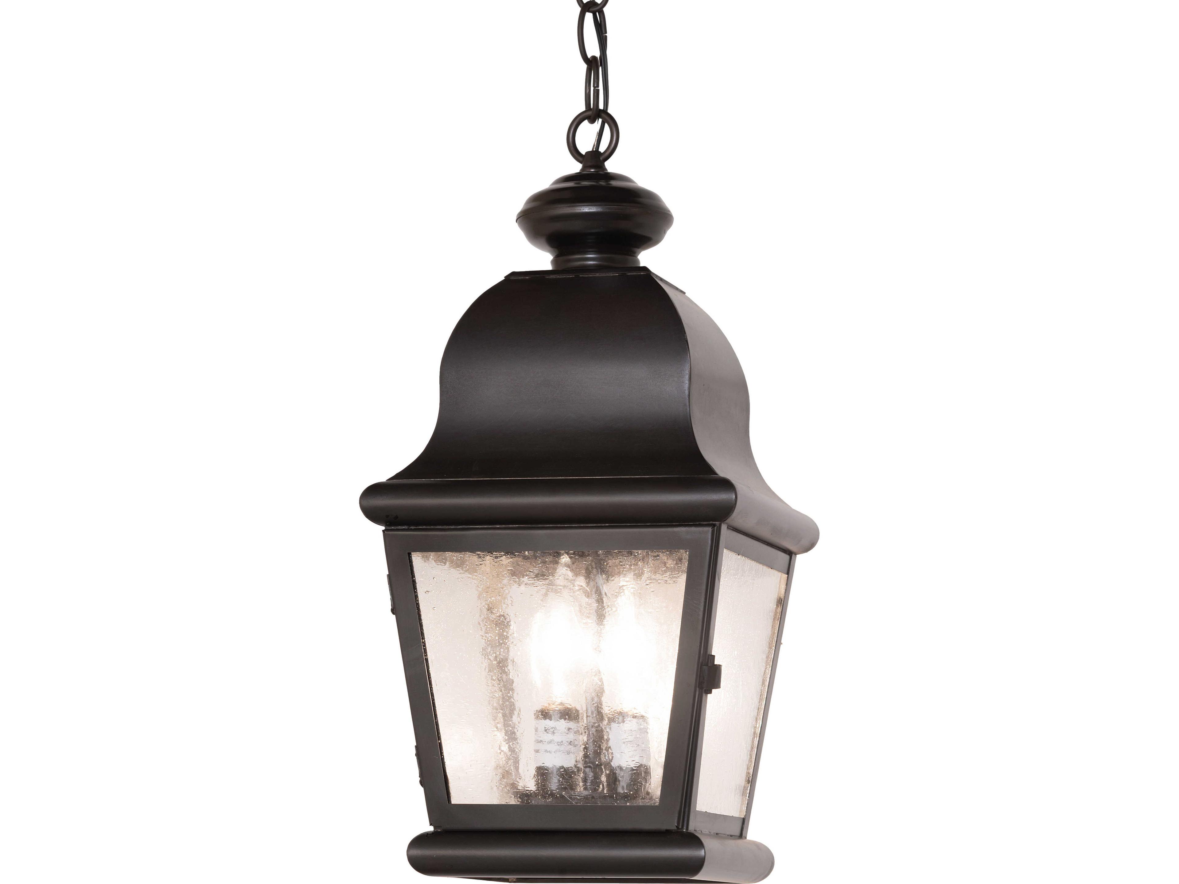 Meyda Lapalma 2-Light Clear Seeded Glass Bronze Traditional Lantern Mini Pendant