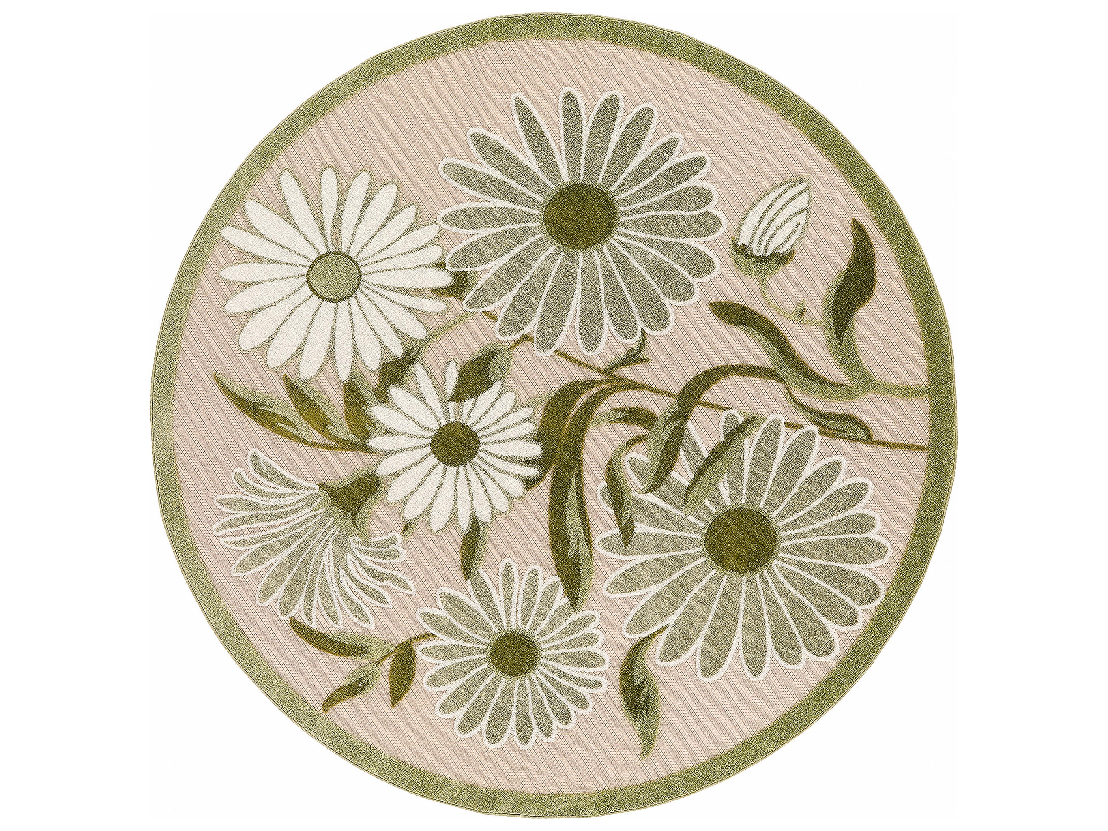 Nourison Aloha Bordered Area Rug