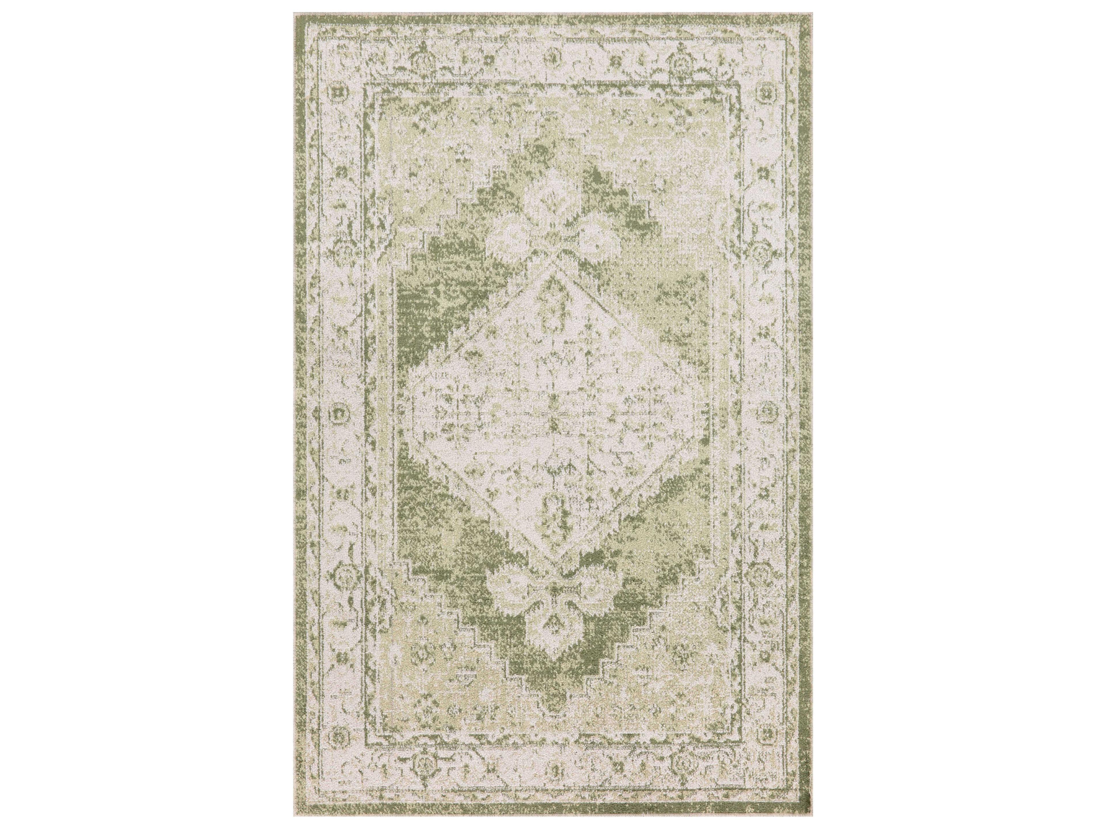 Astra Machine Washable Bordered Area Rug