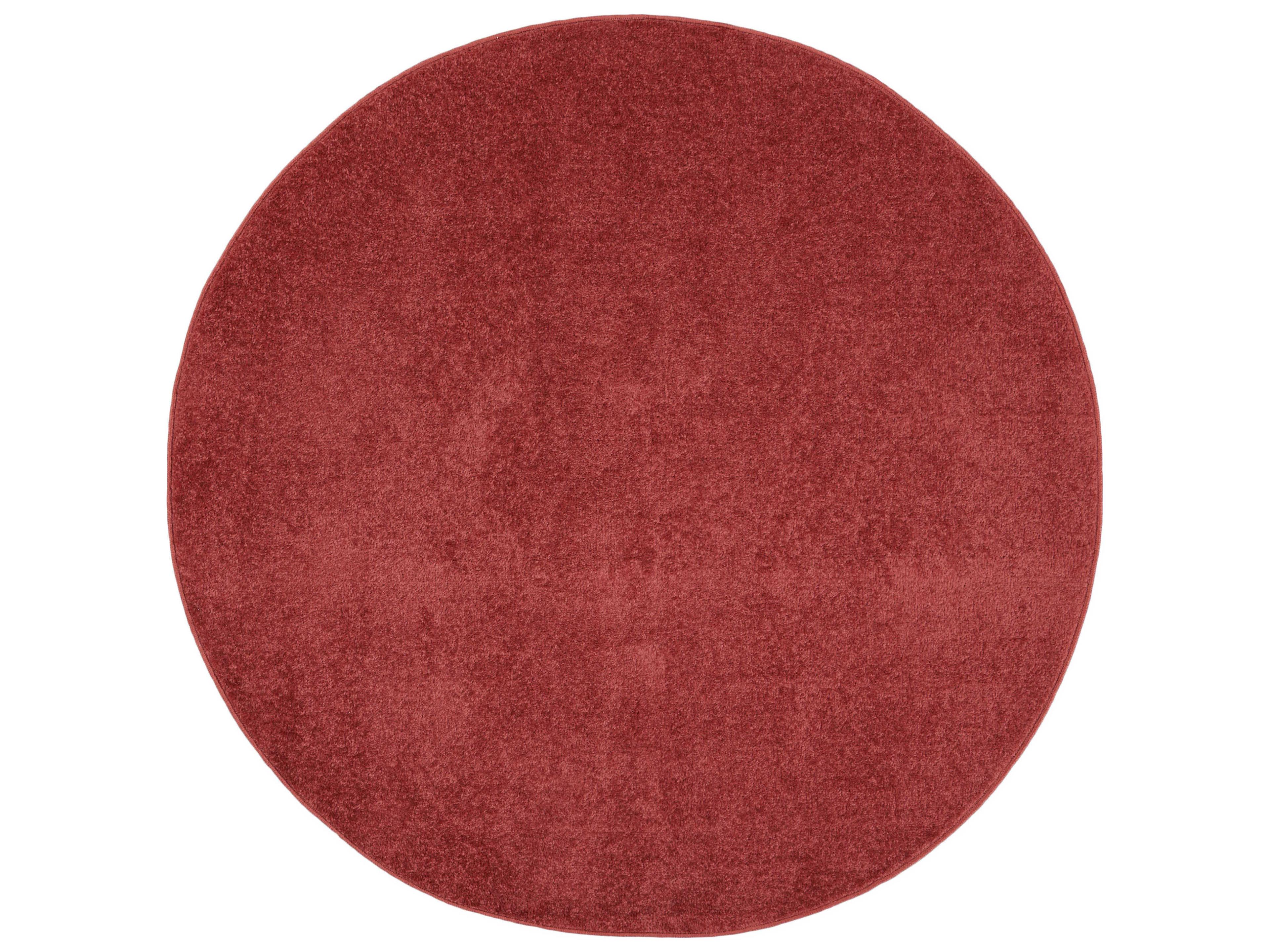 Nourison Essentials Area Rug