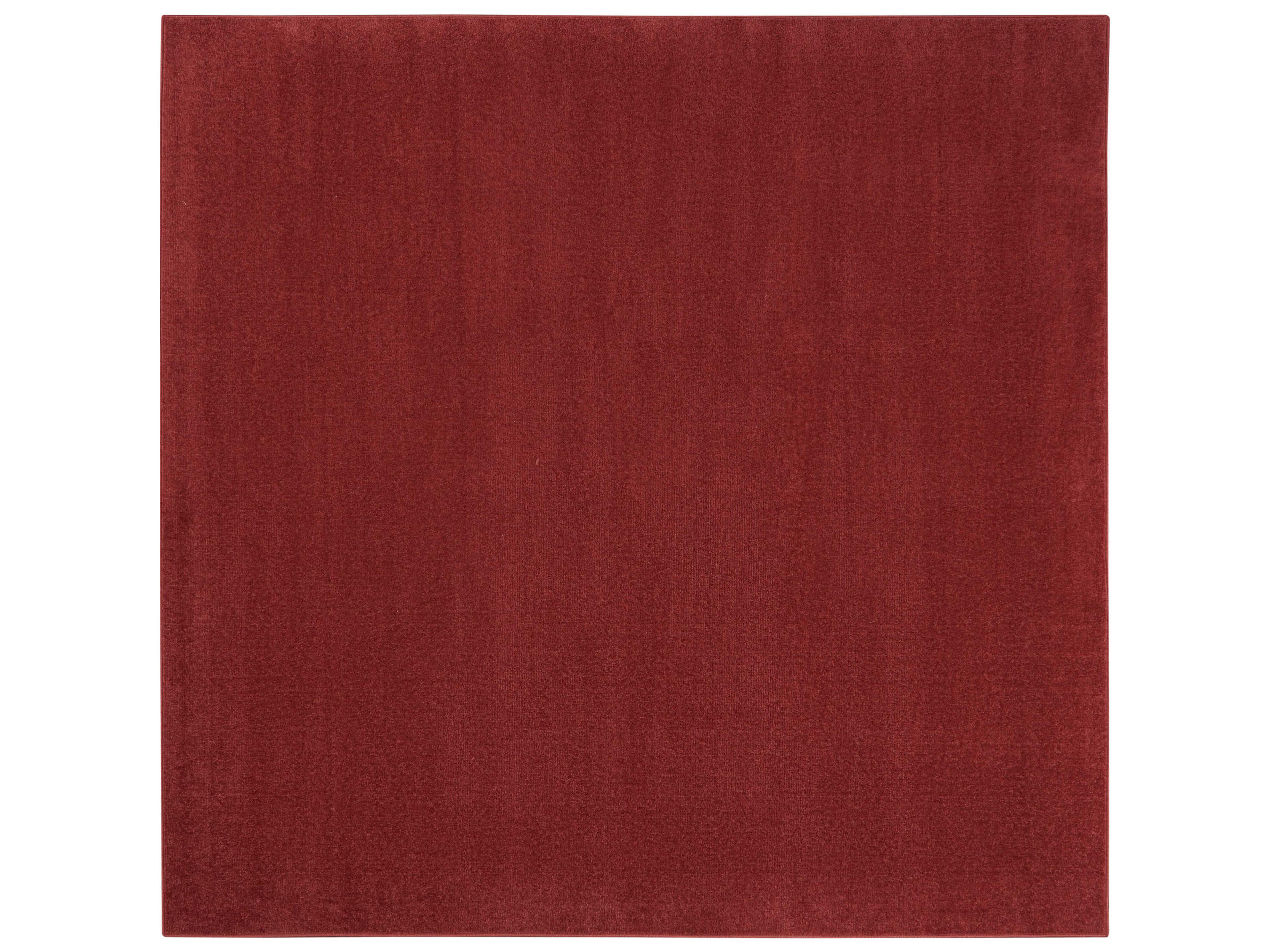 Nourison Essentials Area Rug