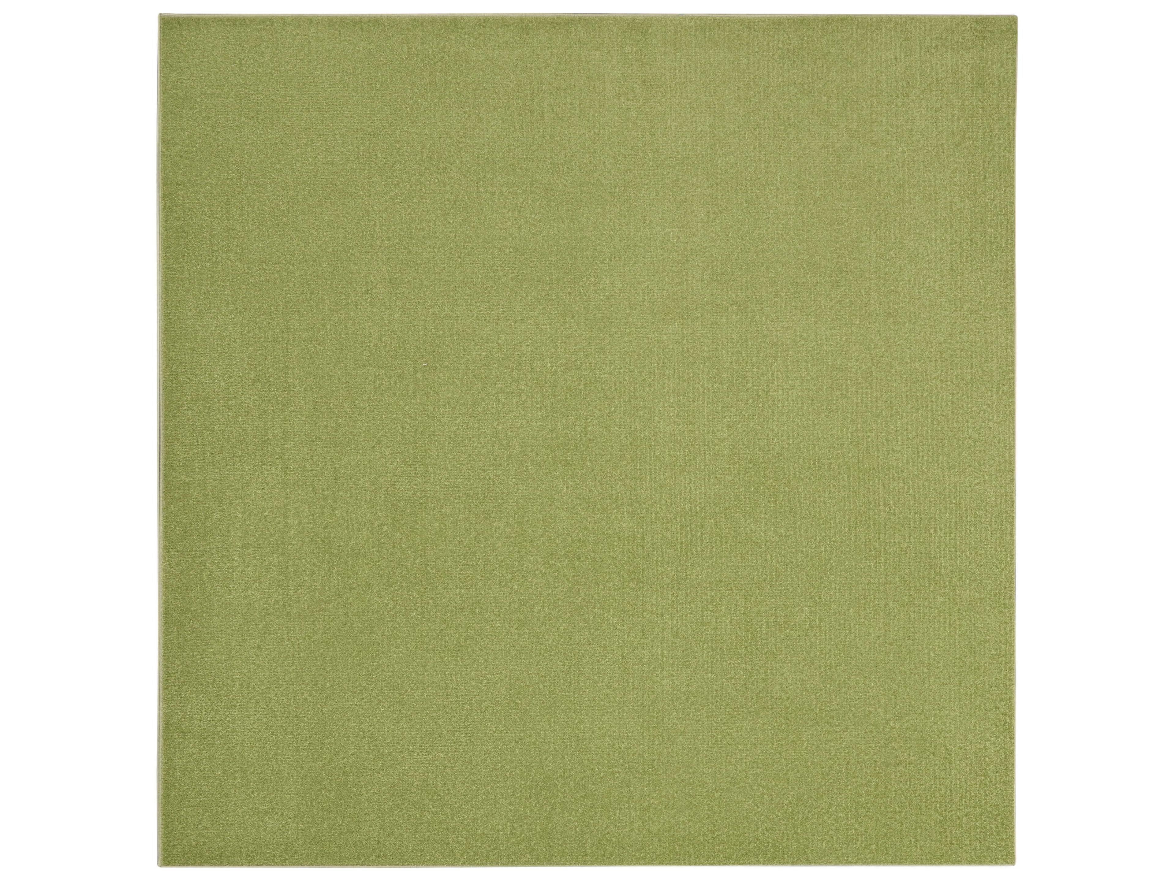 Nourison Essentials Area Rug