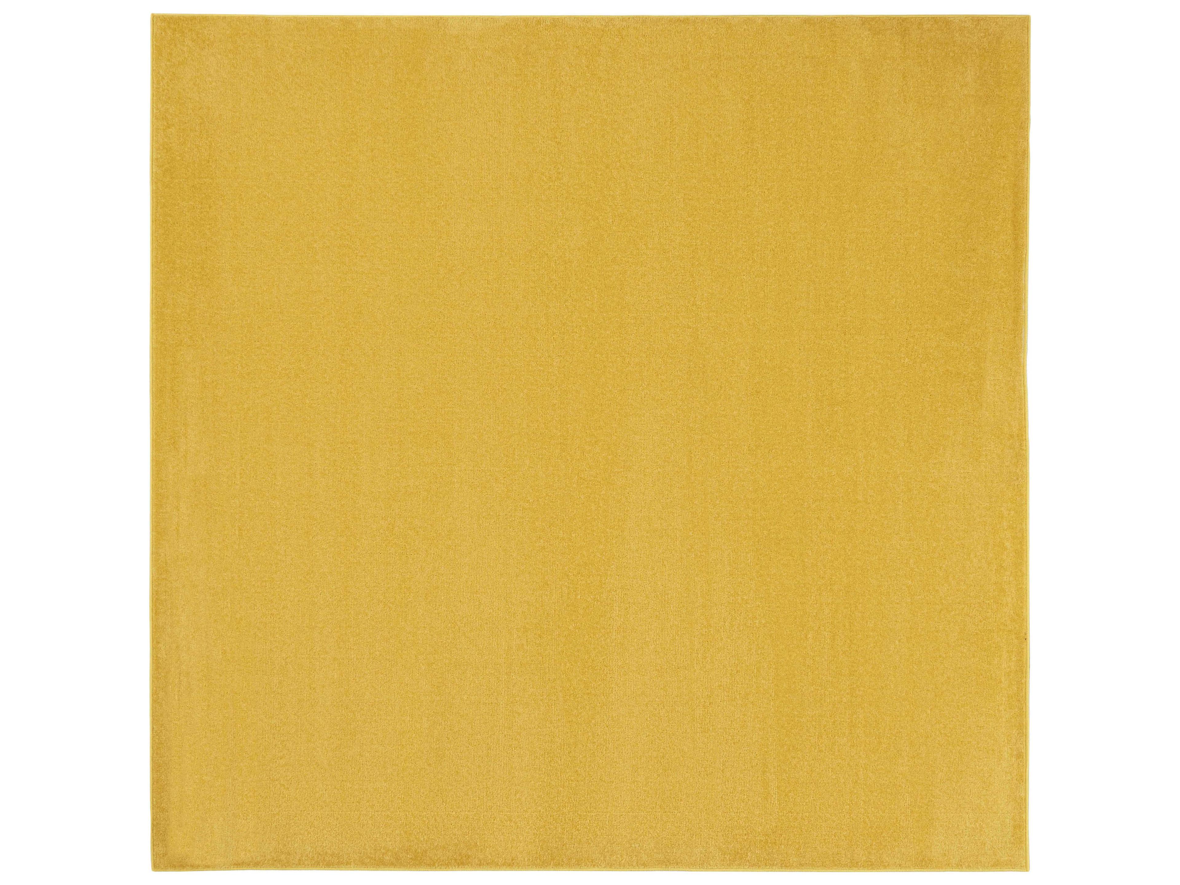 Nourison Essentials Area Rug