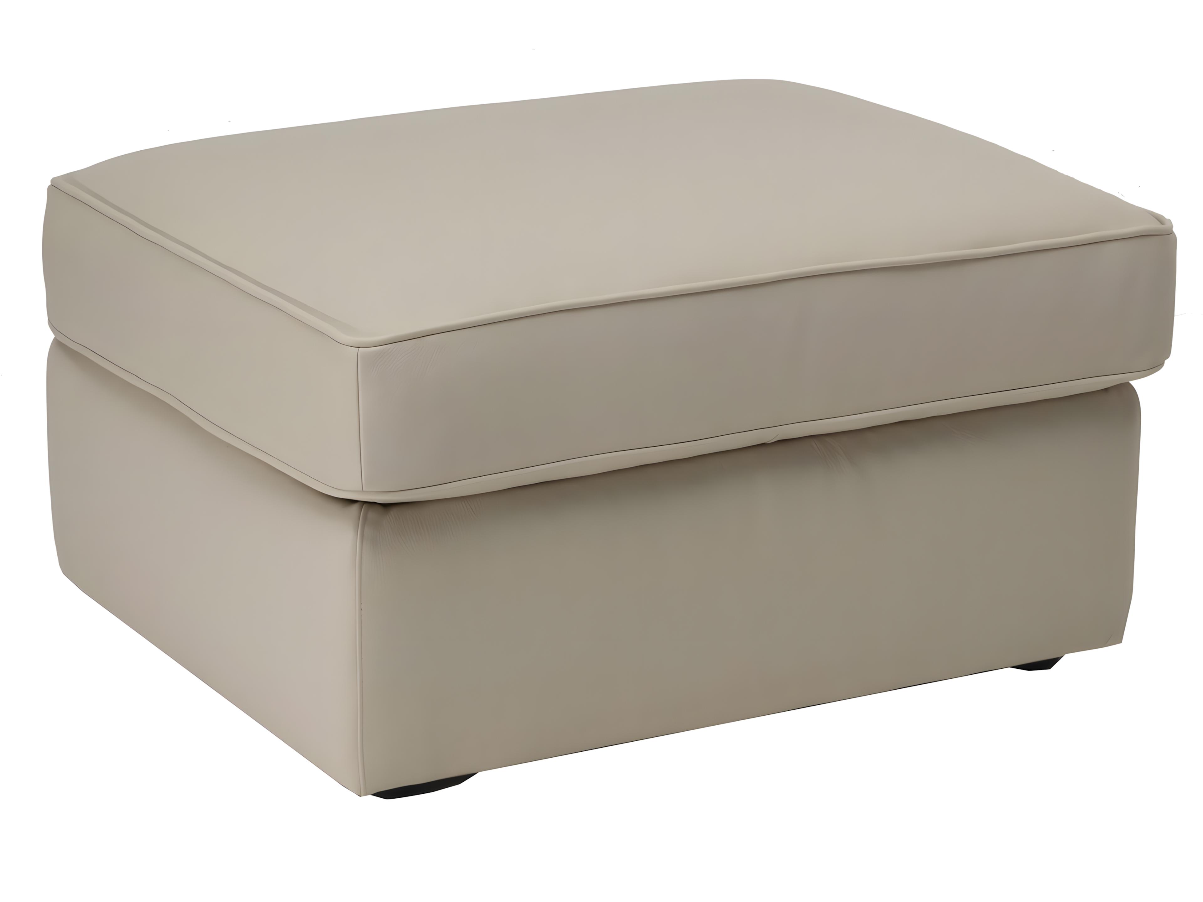 Natuzzi Editions Gaia Storage Ottoman
