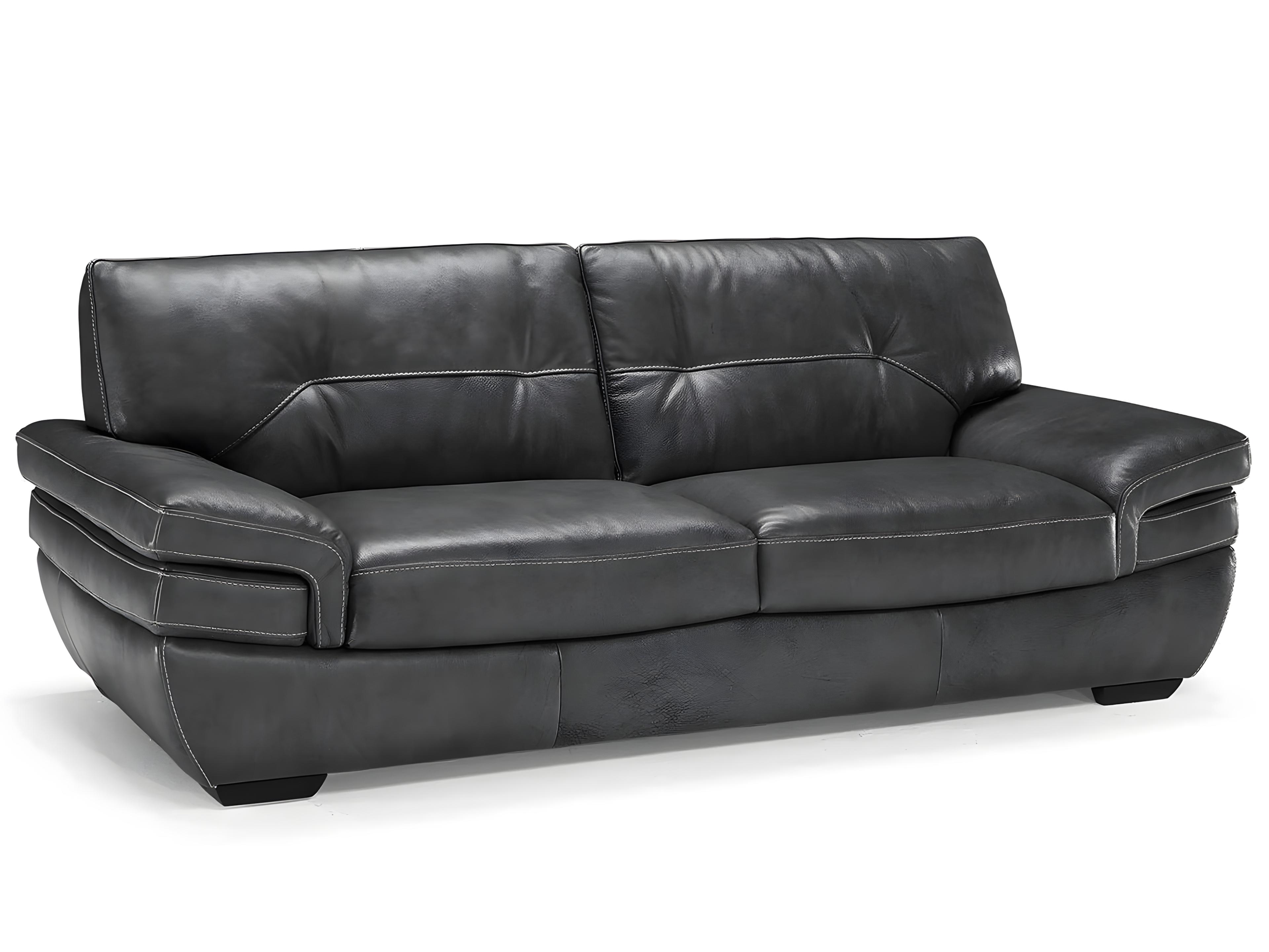 Natuzzi Editions Biagio Sofa