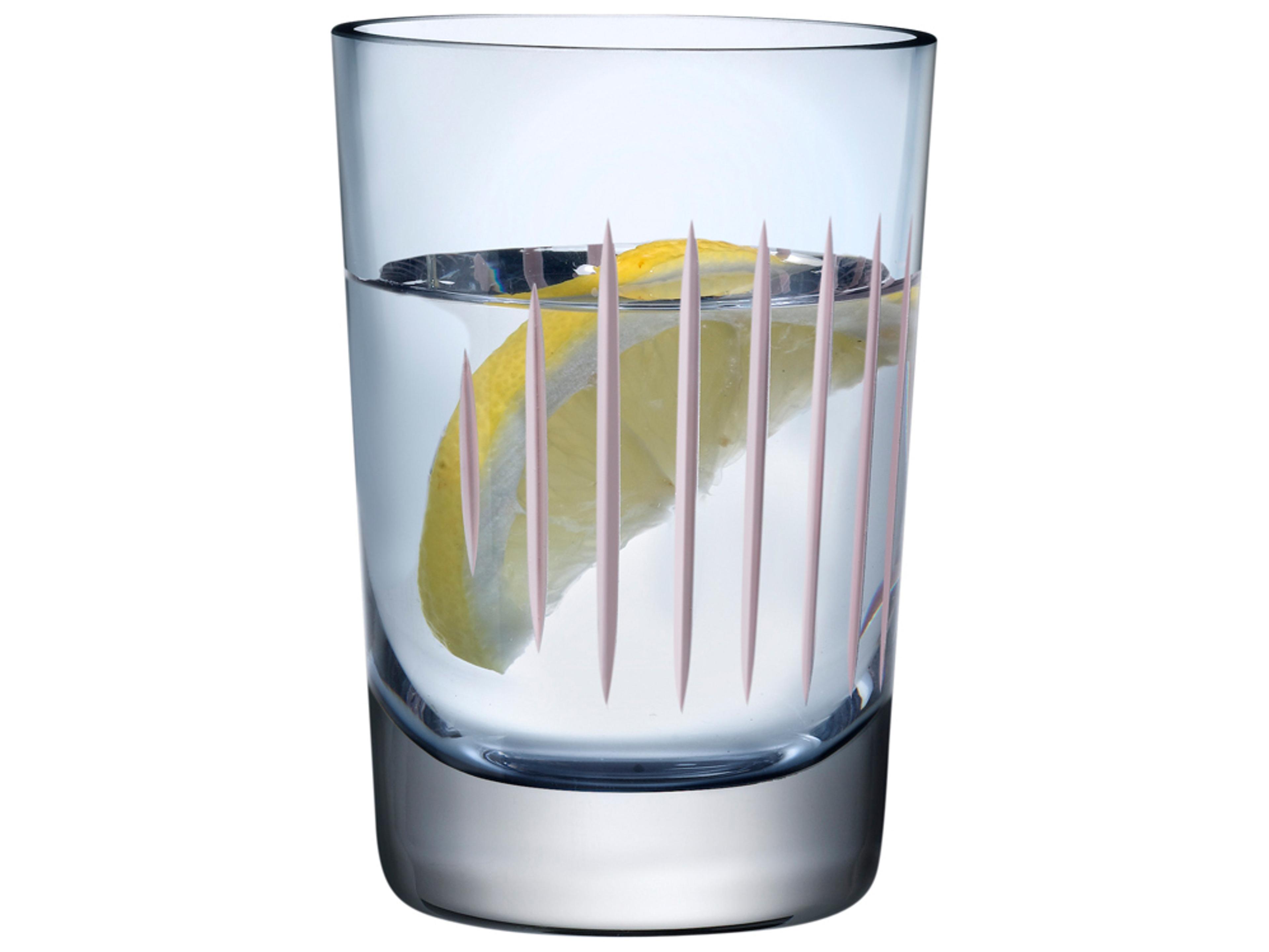 NUDE Parrot Steel Blue Pink Line Water Glass Set of 2