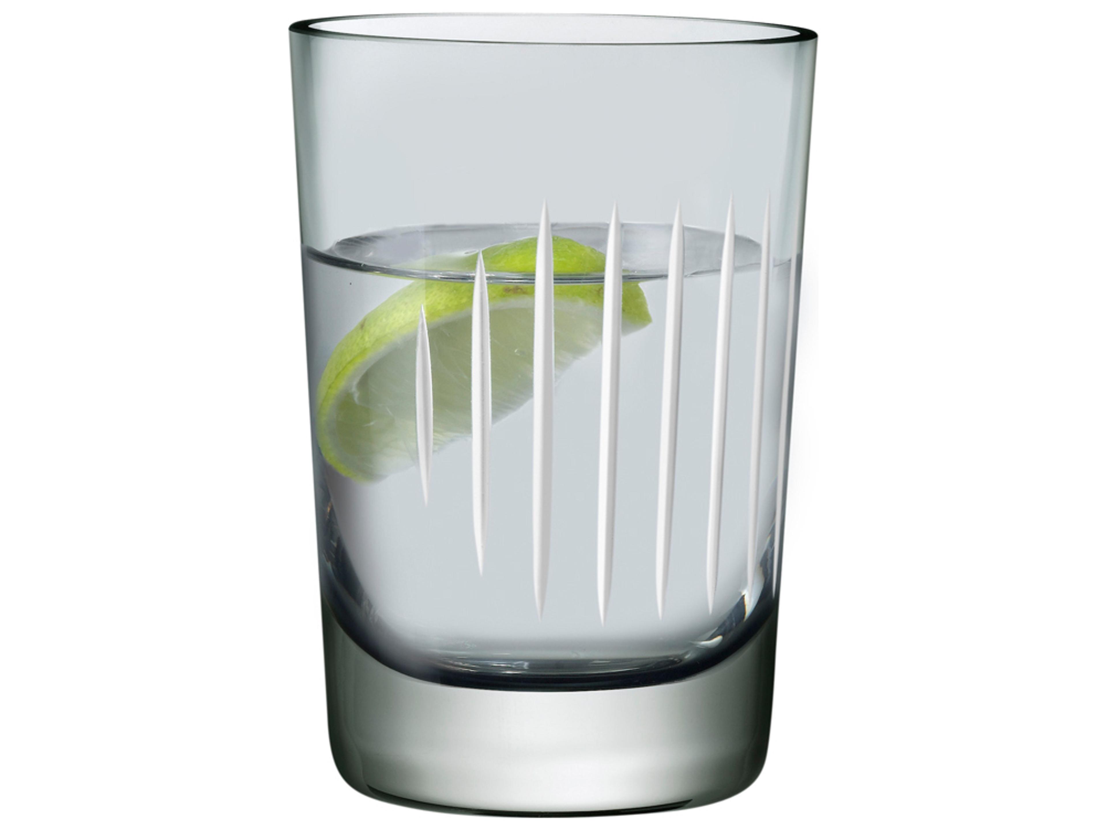 NUDE Parrot Smoke White Line Water Glass Set of 2